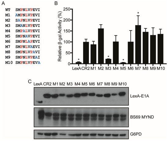 The Transcriptional Repressor BS69 is a Conserved Target of the E1A ...
