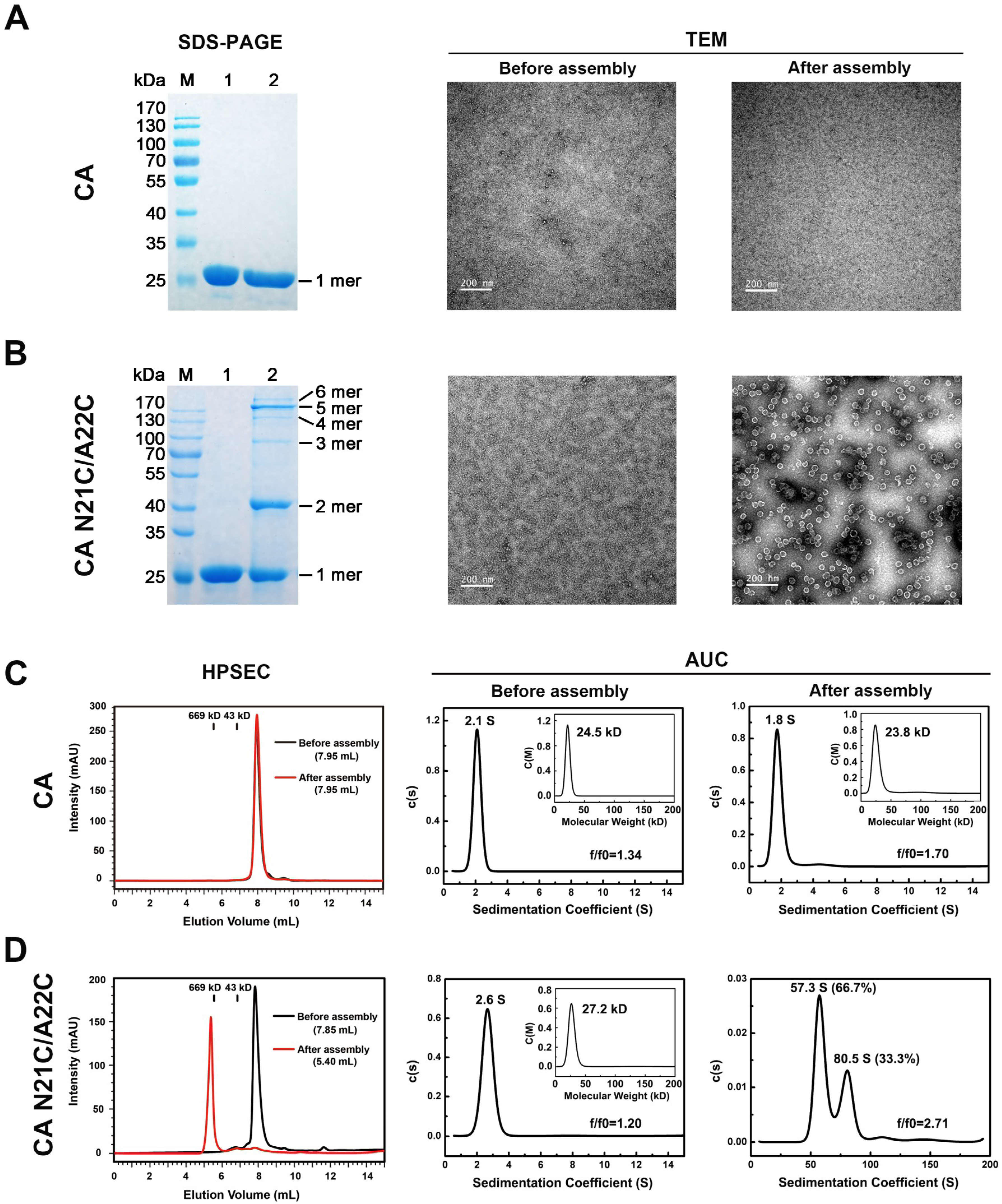 Viruses 10 00667 g001 Viruses 10 00667 g001
