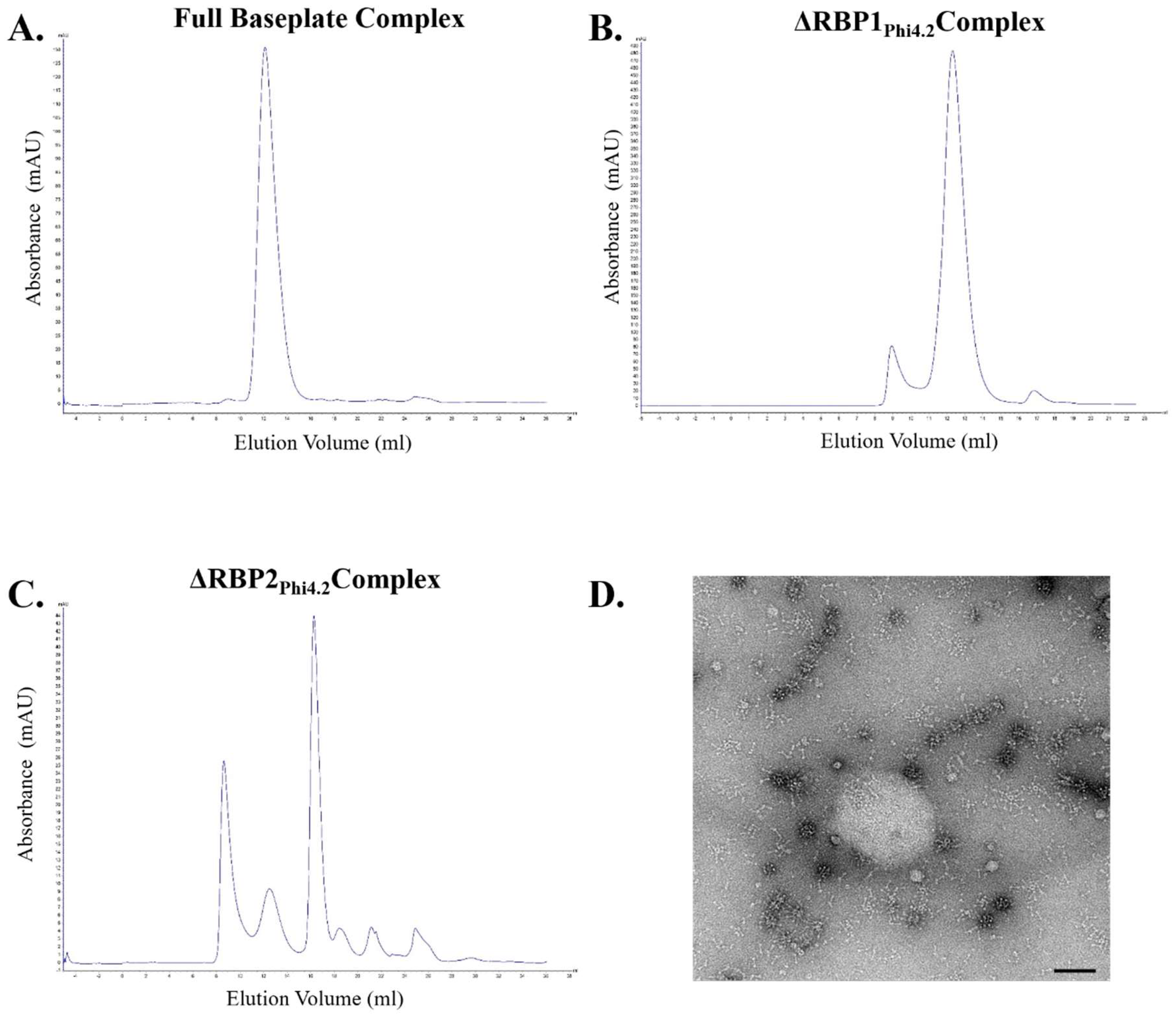 Viruses 10 00668 g005