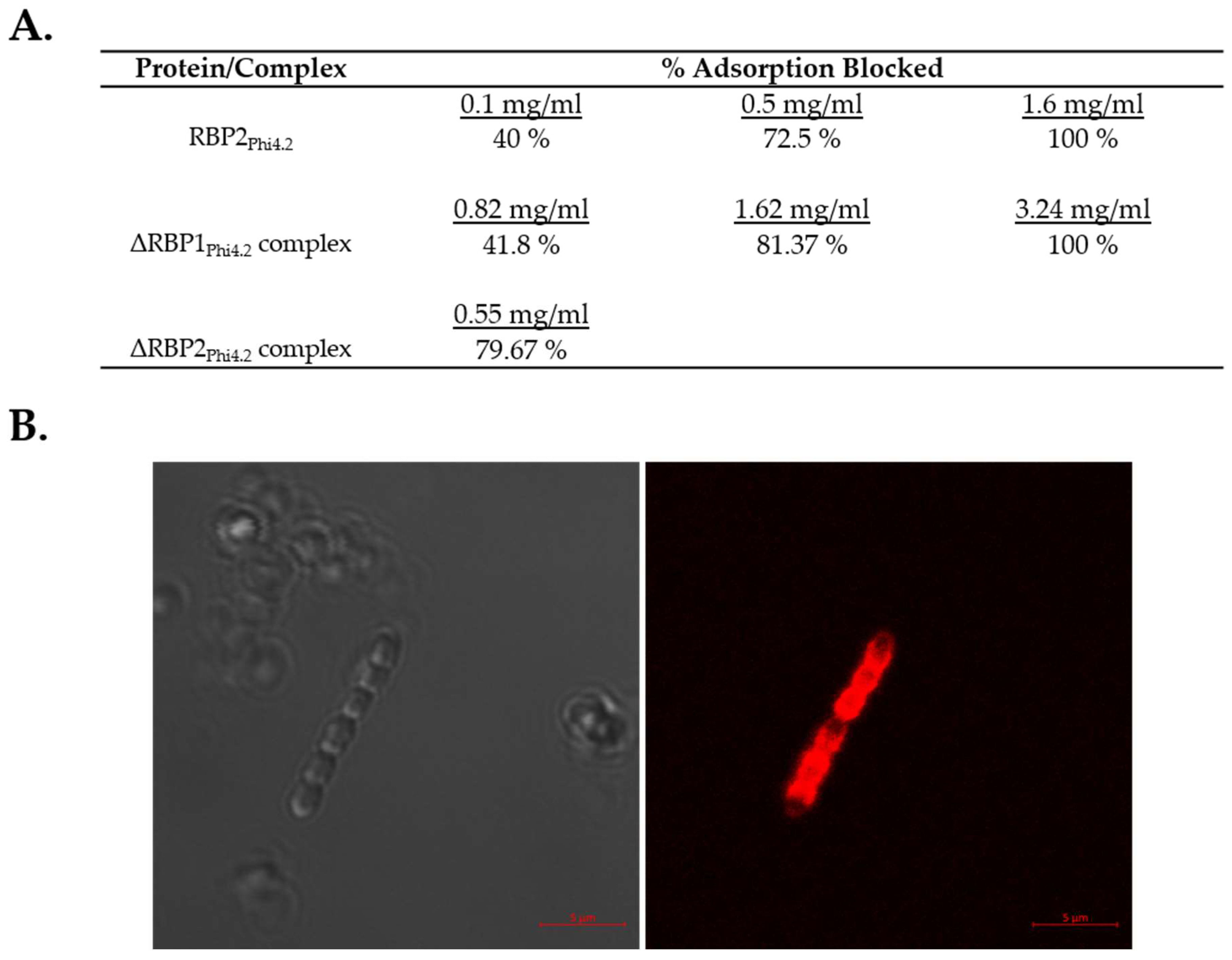 Viruses 10 00668 g006