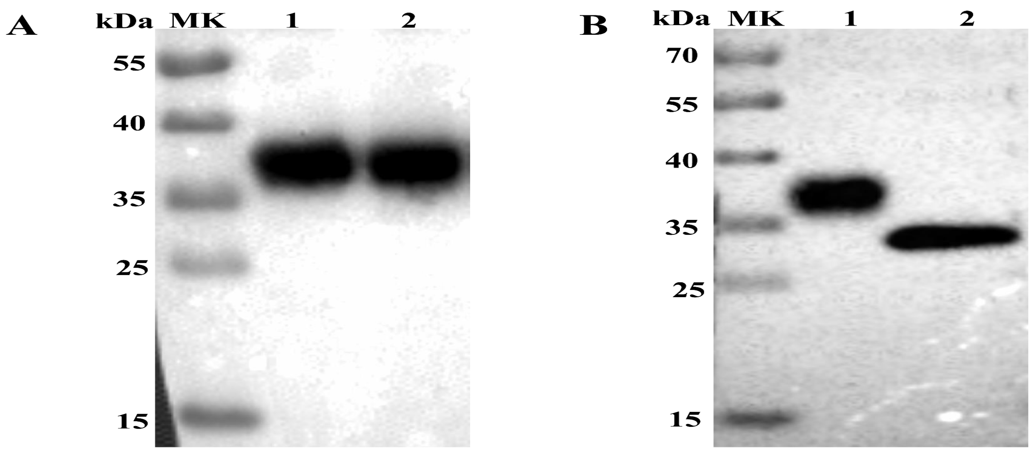Viruses 10 00673 g001