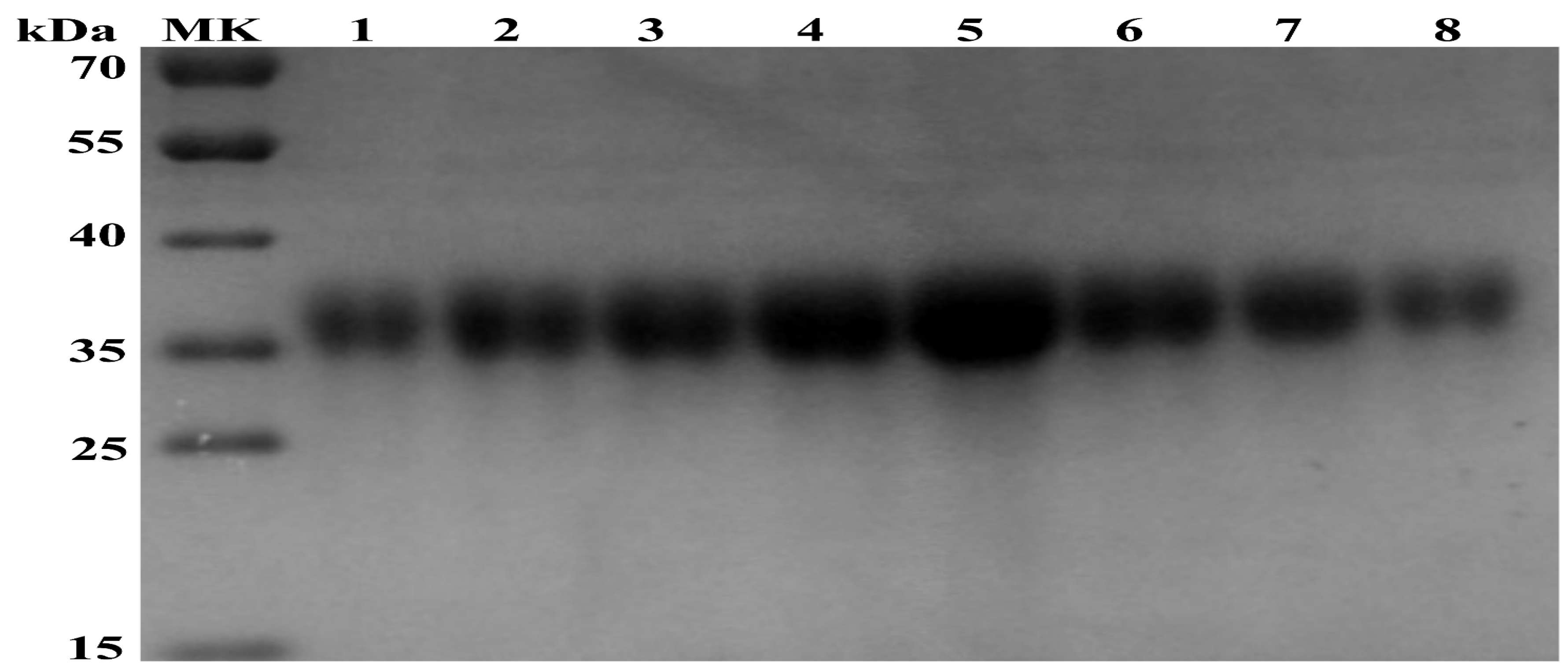 Viruses 10 00673 g002