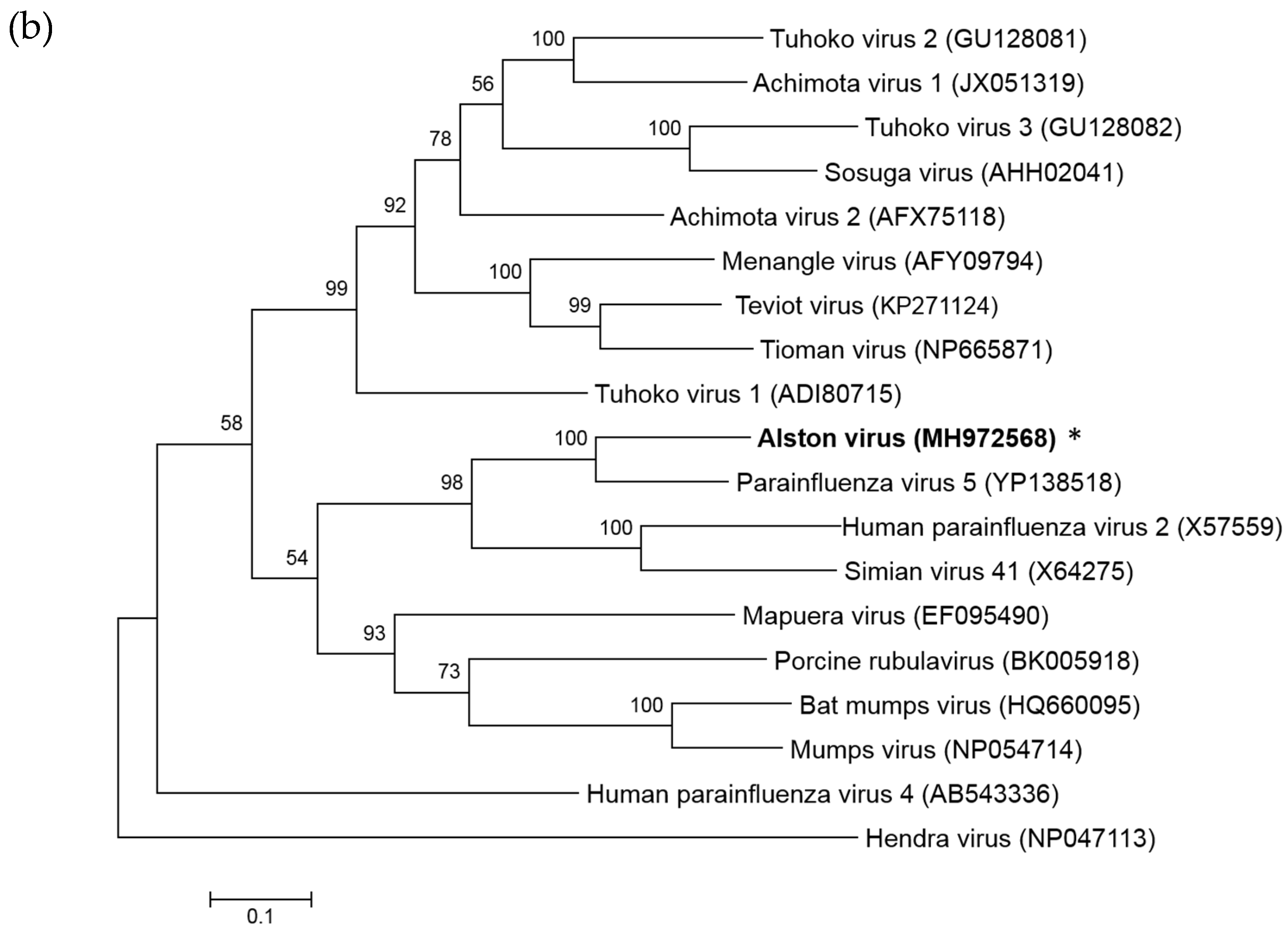 Viruses 10 00675 g001b