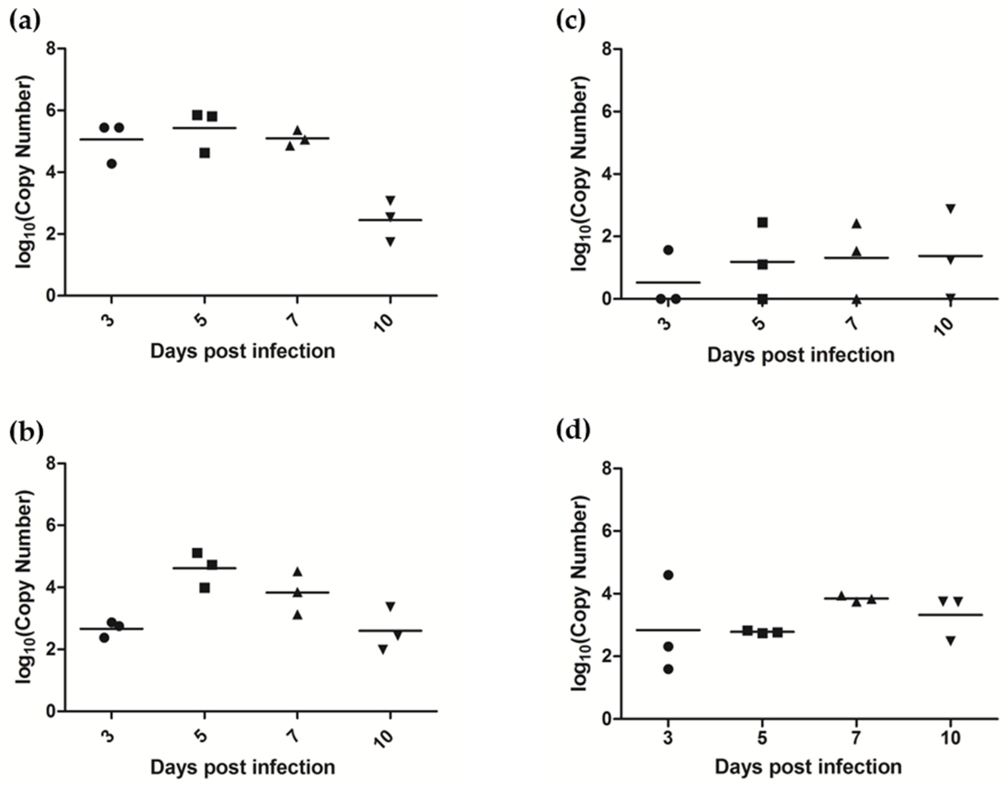 Viruses 10 00675 g007