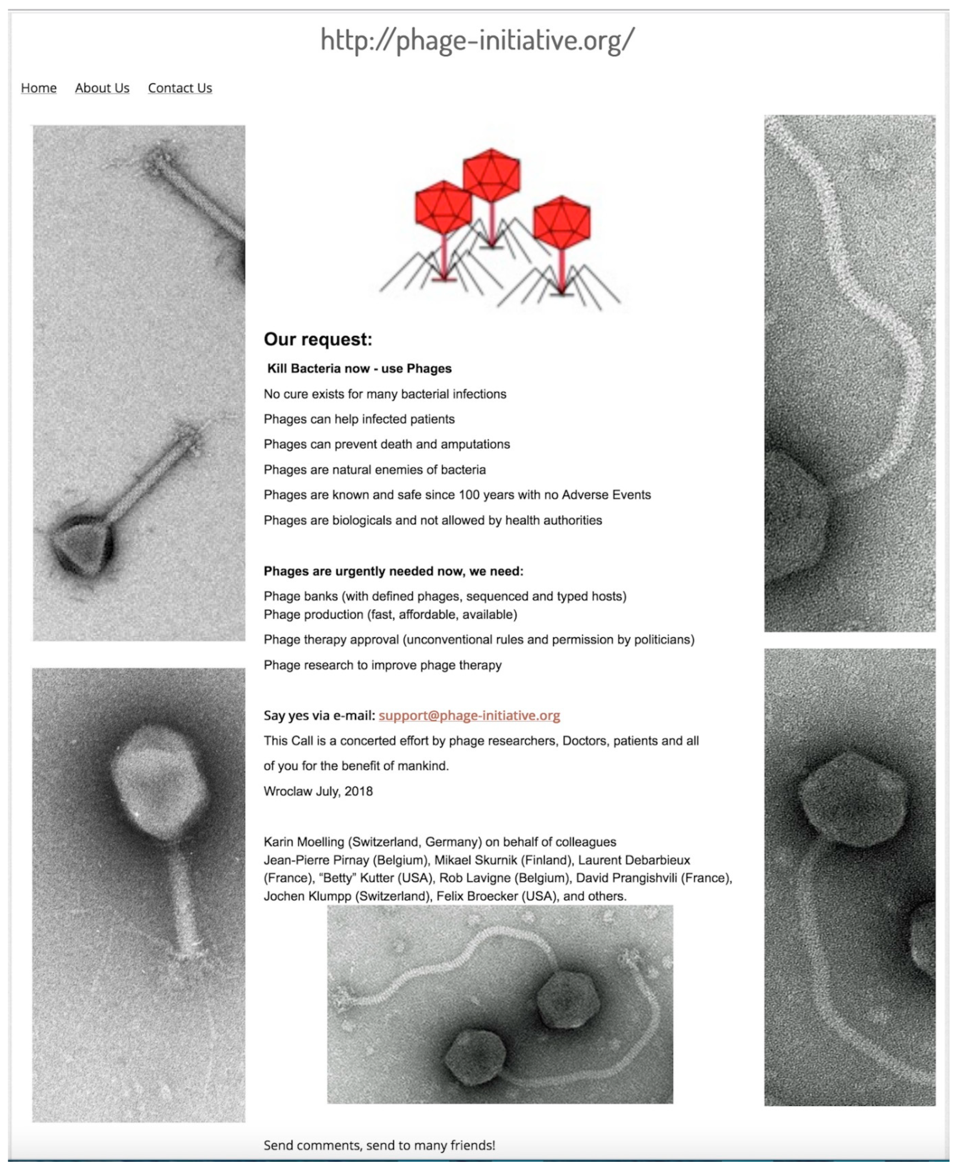 Viruses 10 00688 g004