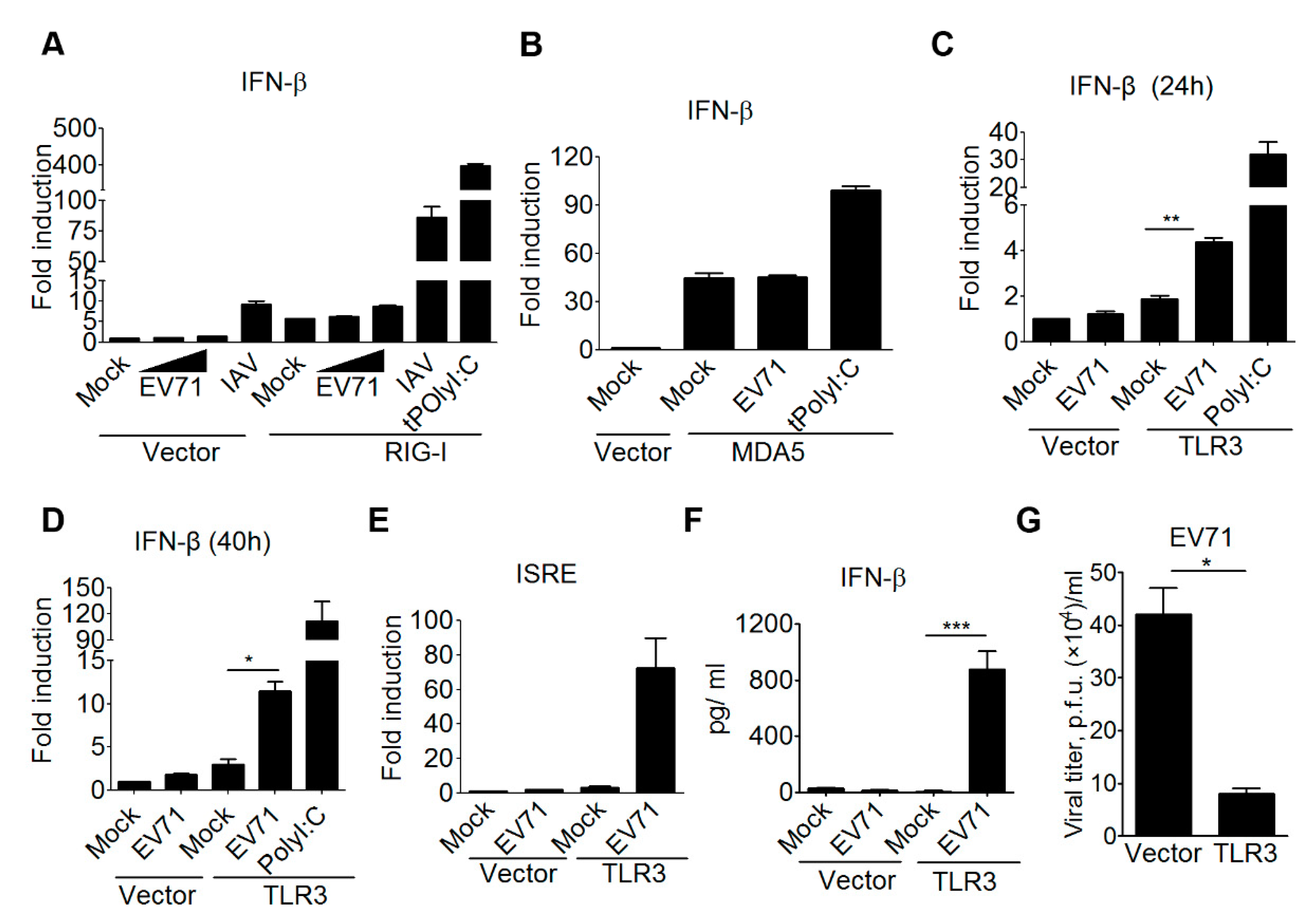 Viruses 10 00689 g001 Viruses 10 00689 g001