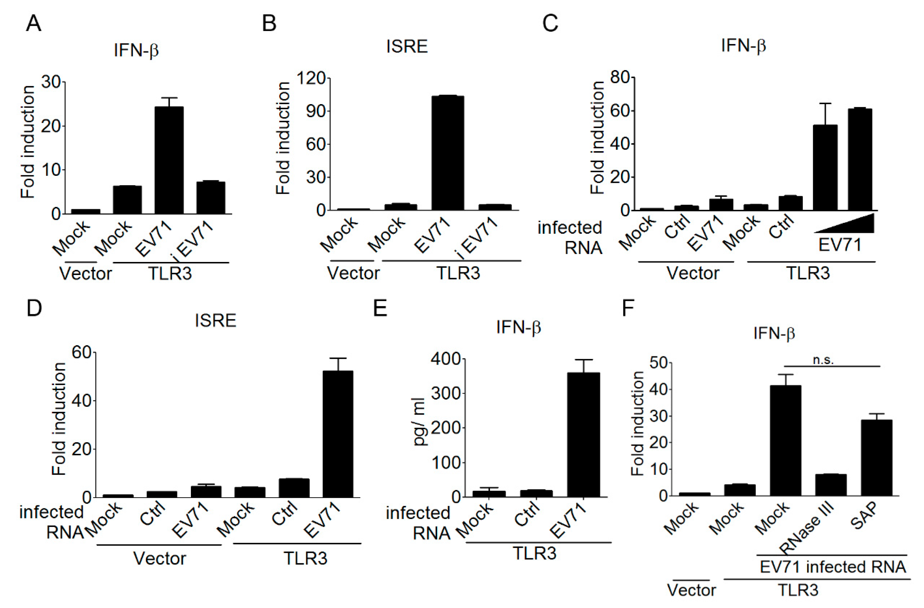 Viruses 10 00689 g002 Viruses 10 00689 g002
