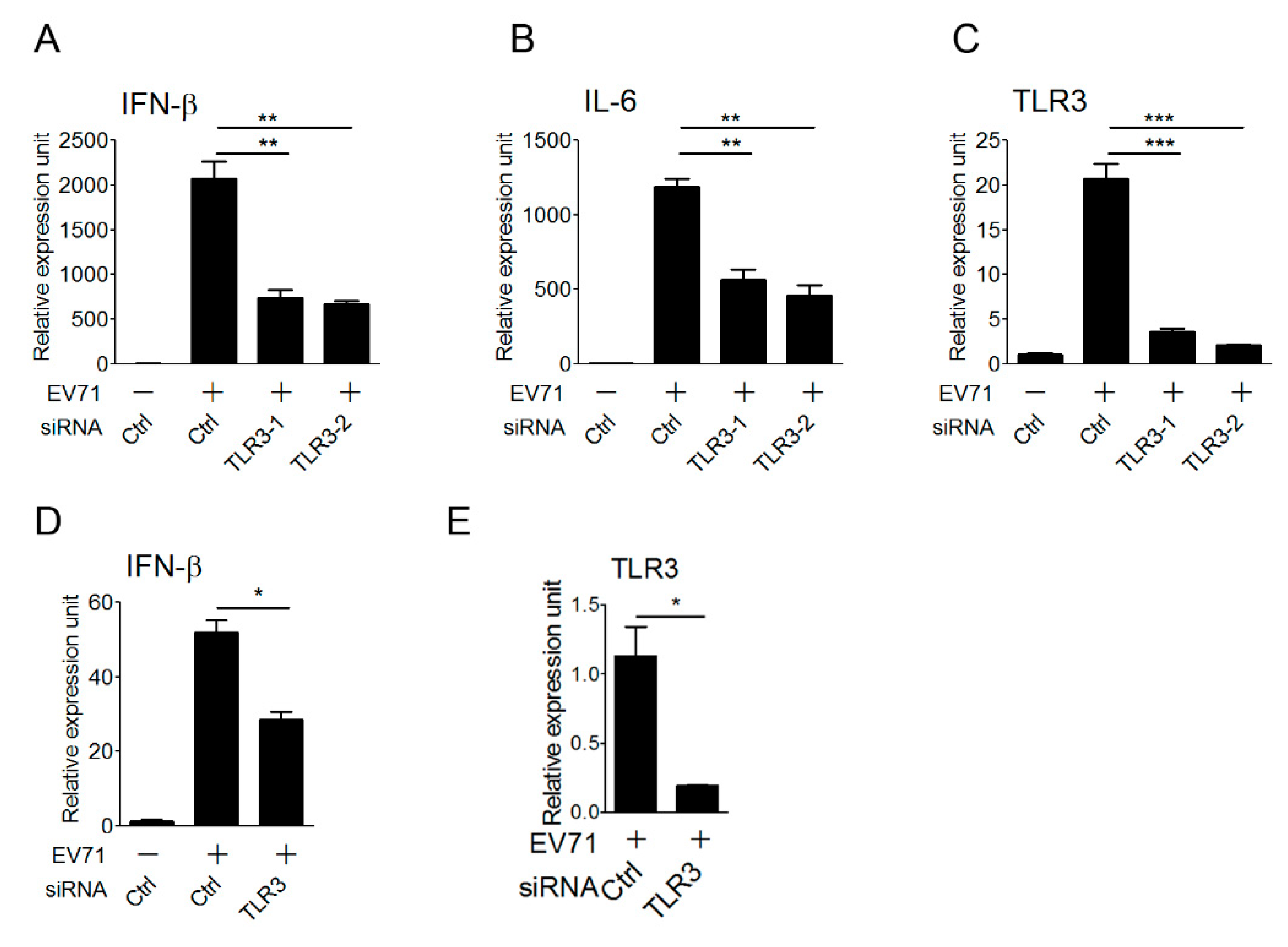 Viruses 10 00689 g004 Viruses 10 00689 g004