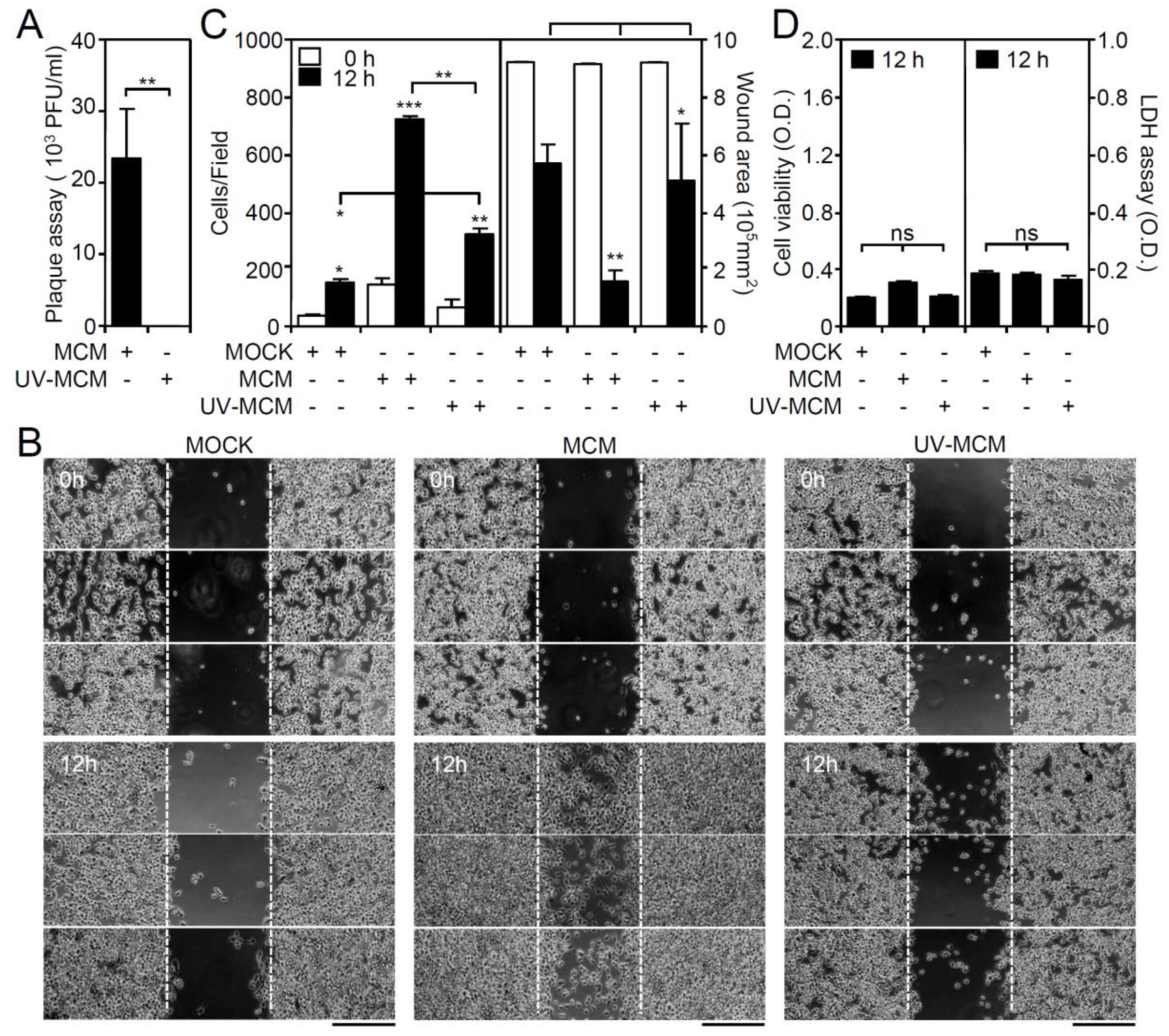 Viruses 10 00690 g001 Viruses 10 00690 g001
