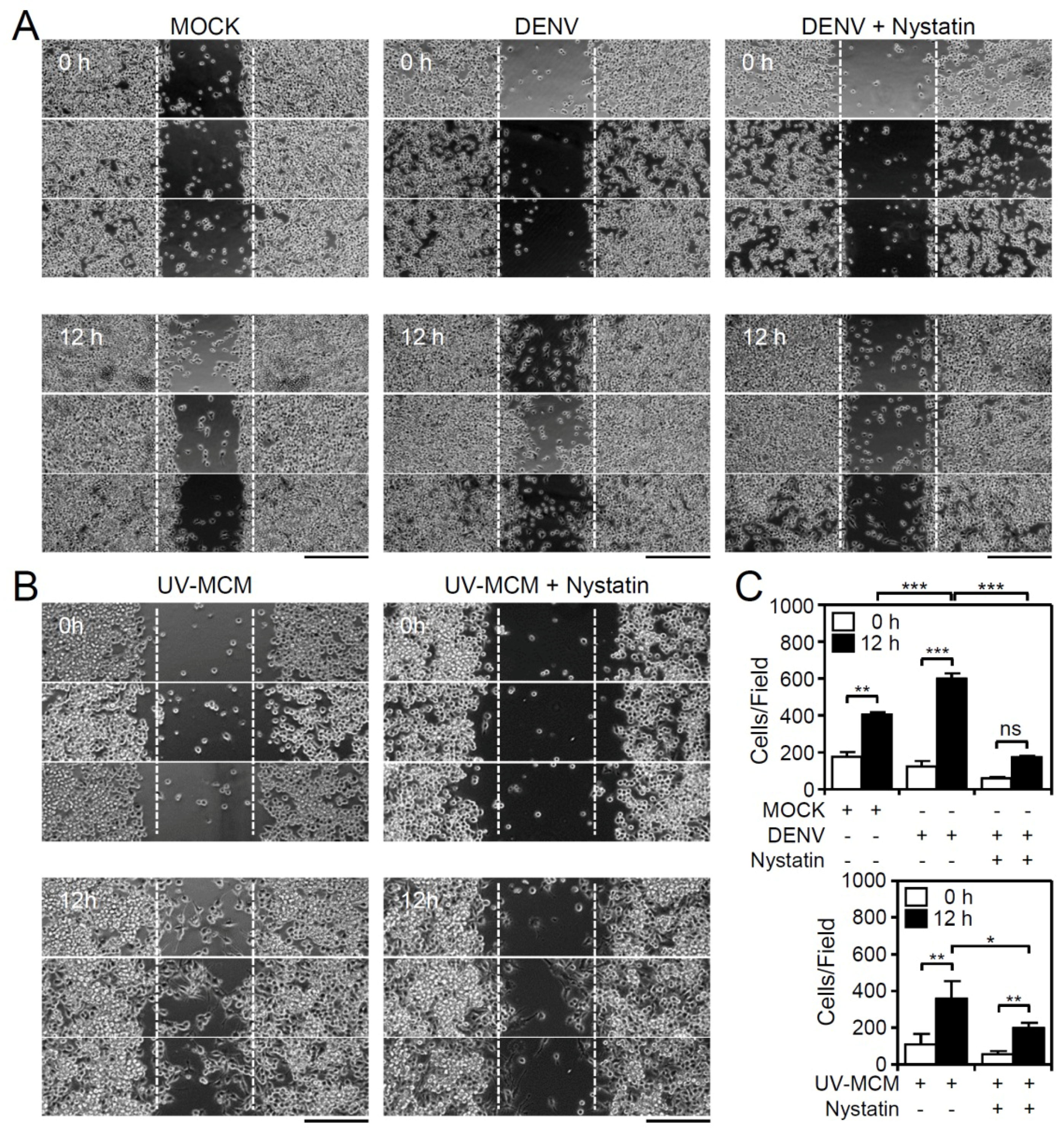 Viruses 10 00690 g002 Viruses 10 00690 g002