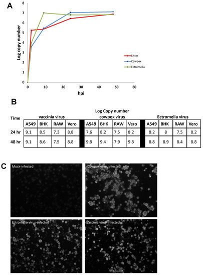Viruses December 2018 Browse Articles