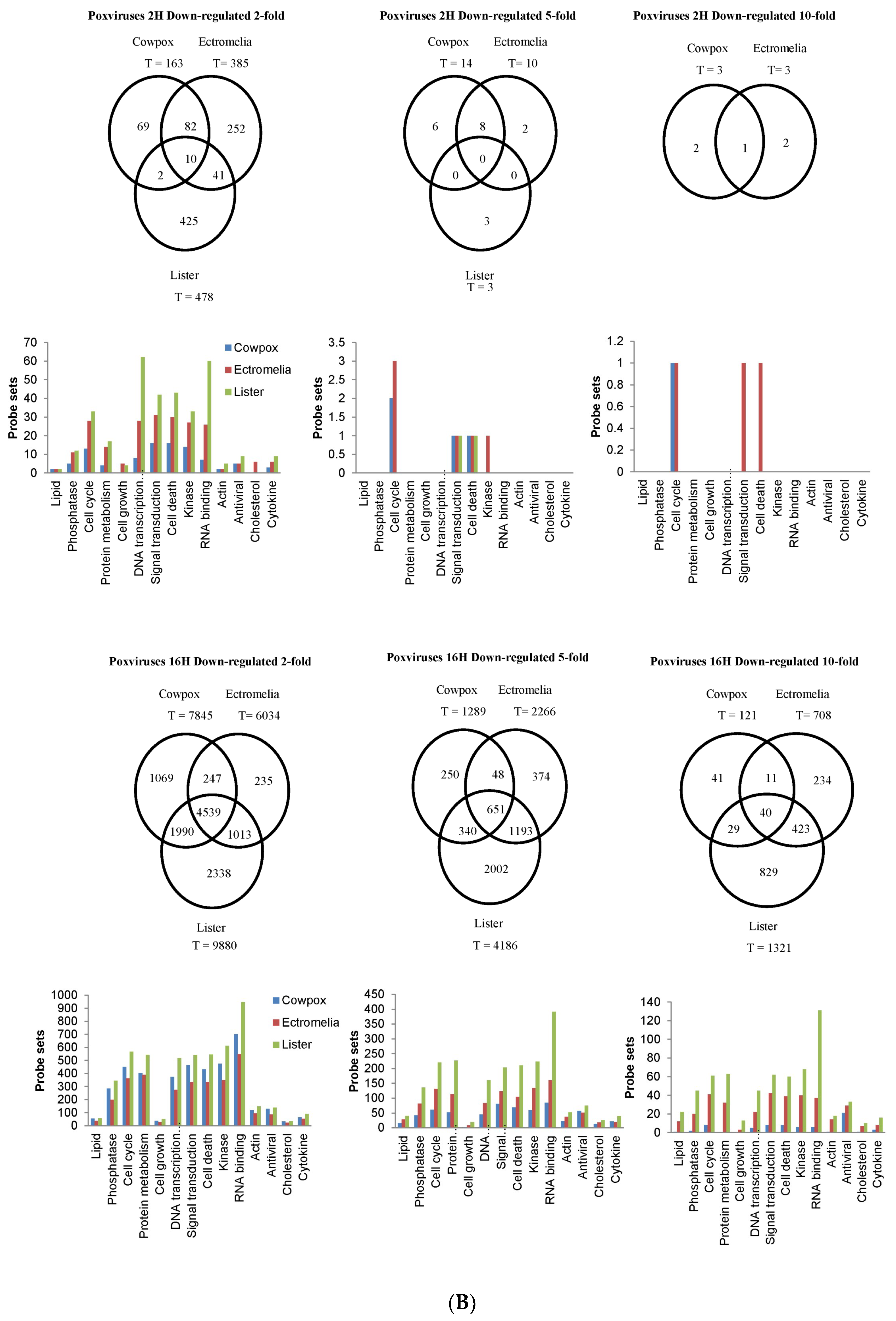 Viruses 10 00692 g002b