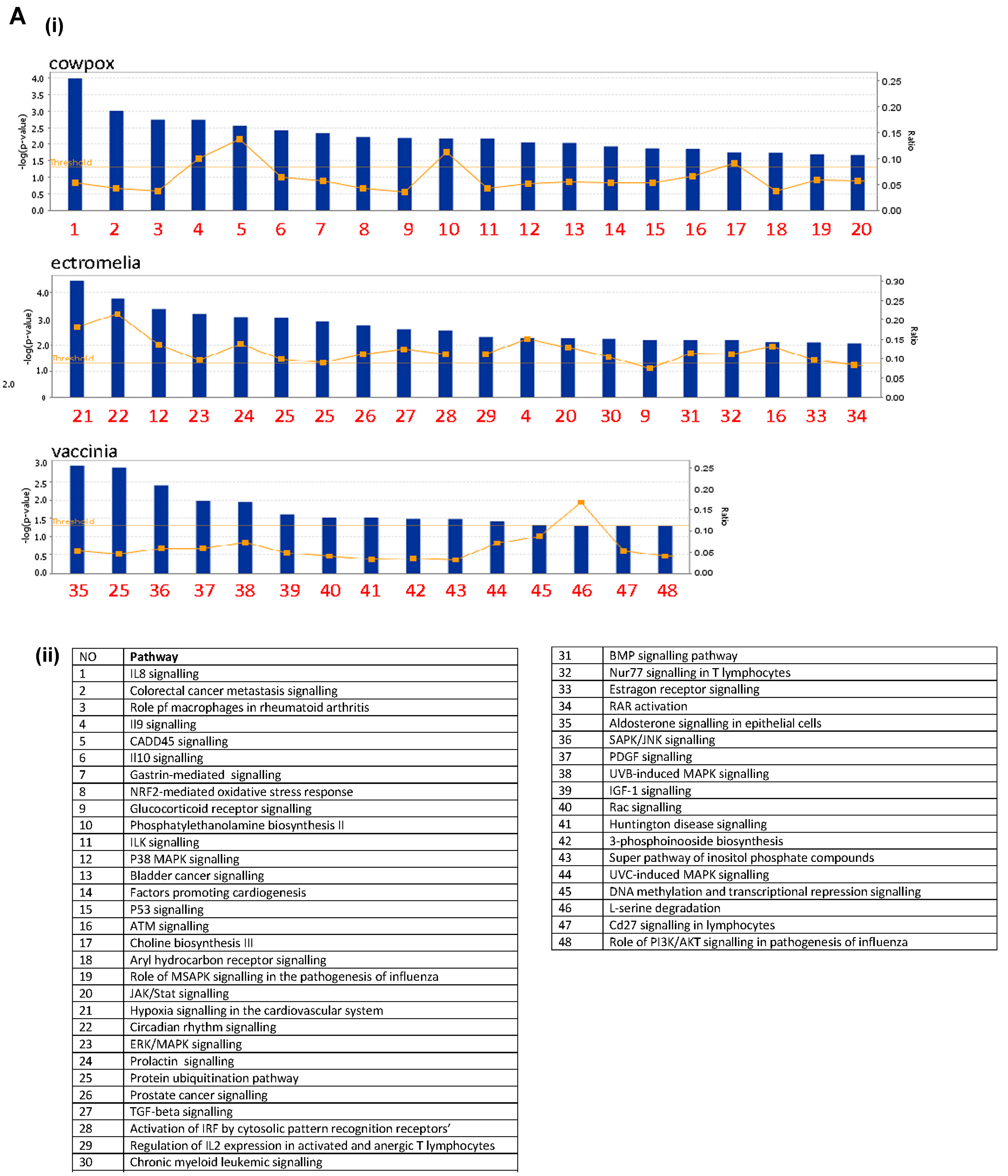 Viruses 10 00692 g003a