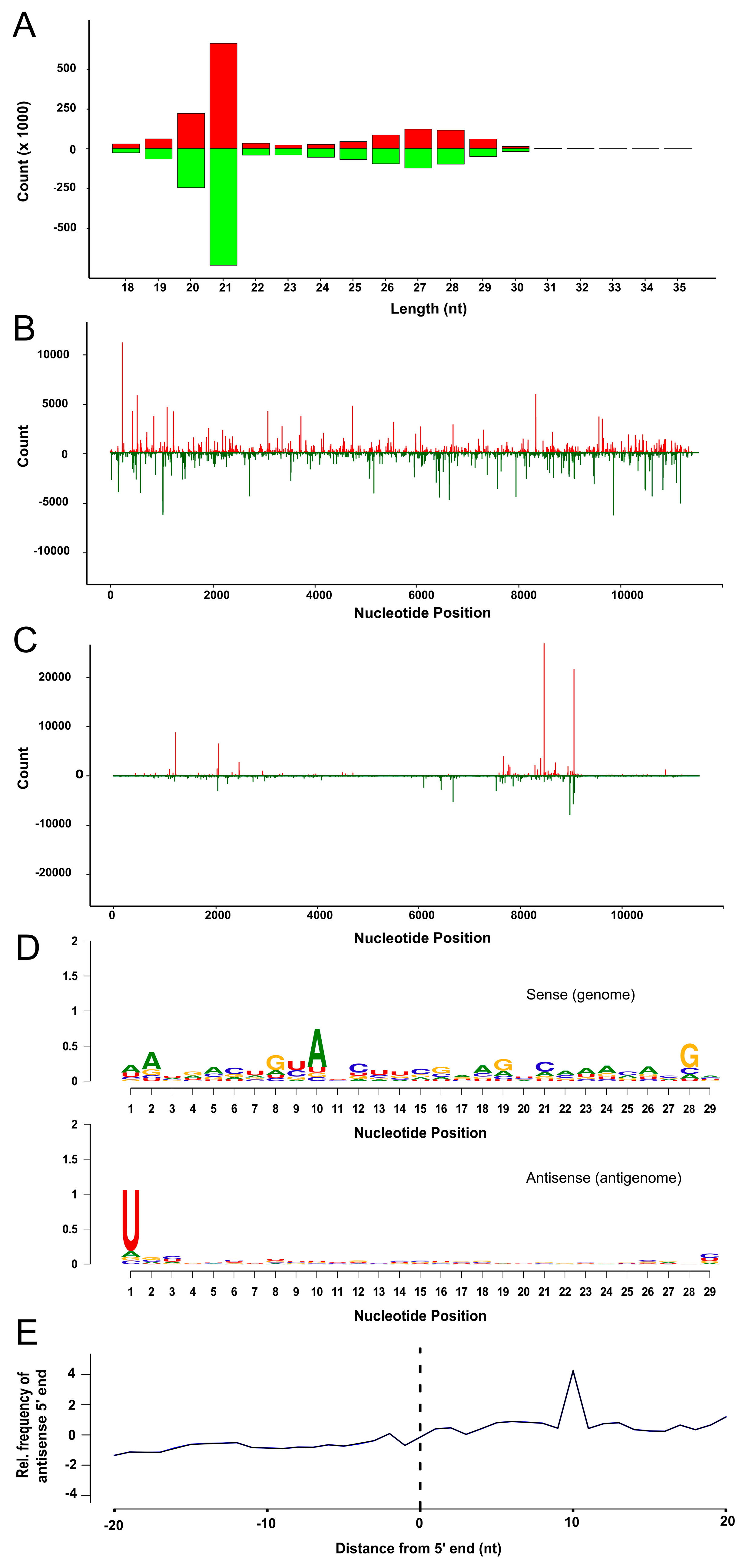 Viruses 10 00694 g005