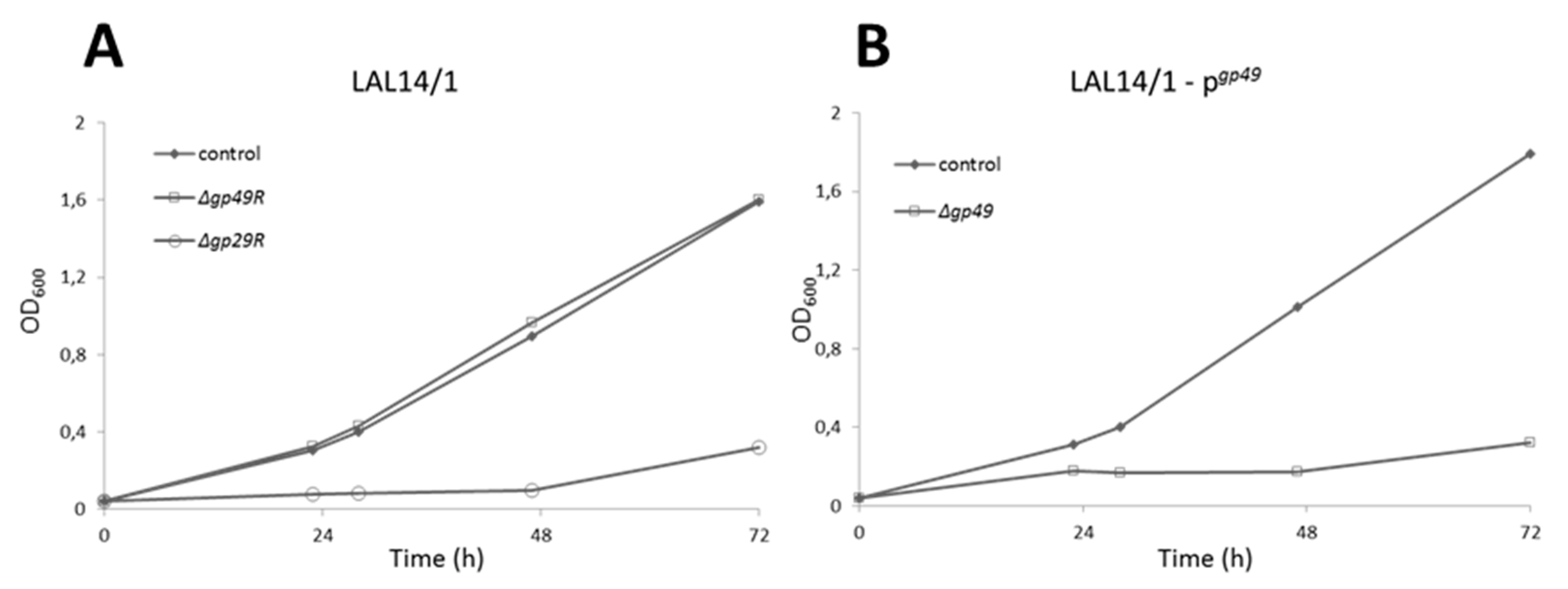 Viruses 10 00695 g003 Viruses 10 00695 g003