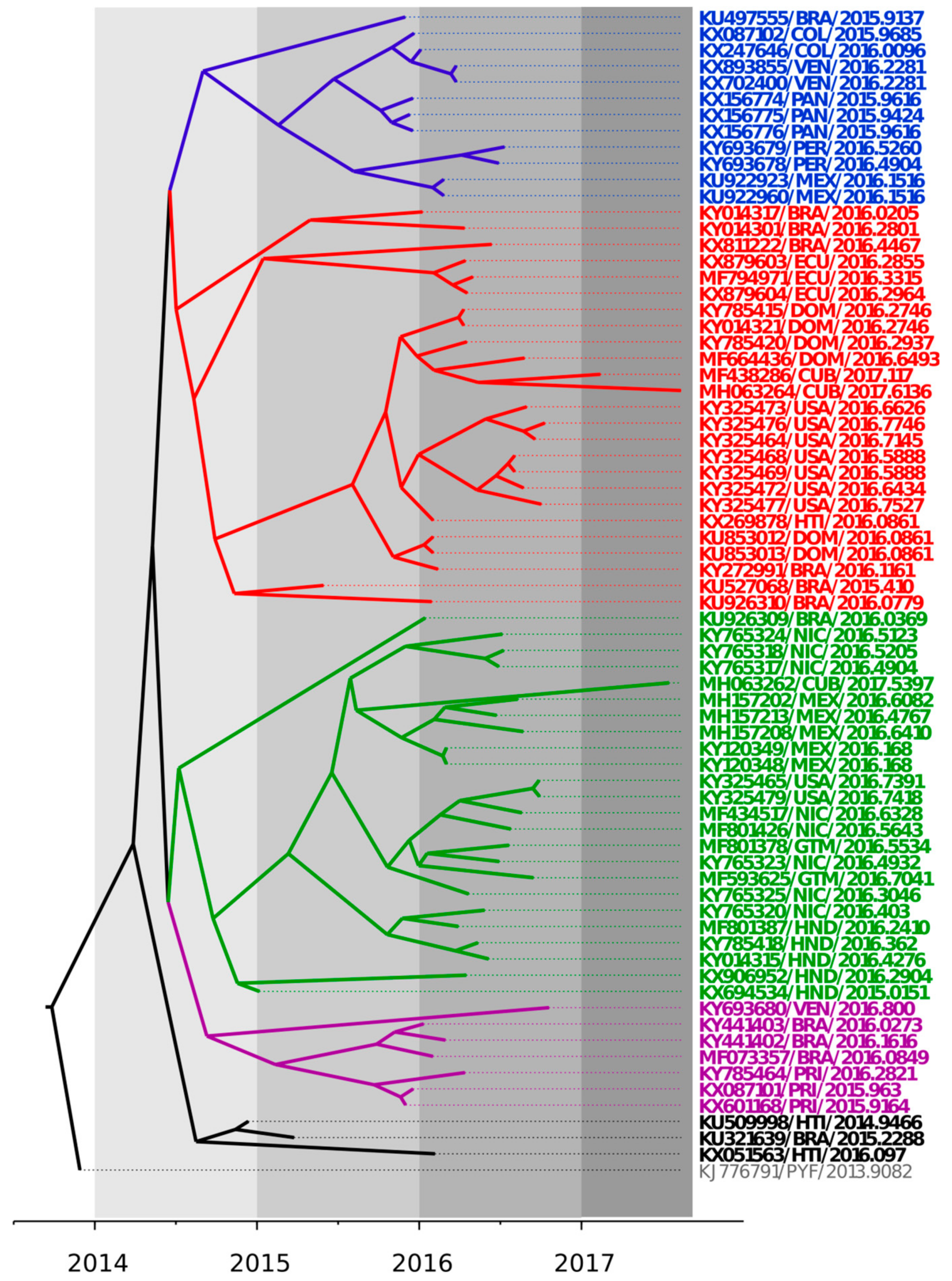 Viruses 10 00698 g001