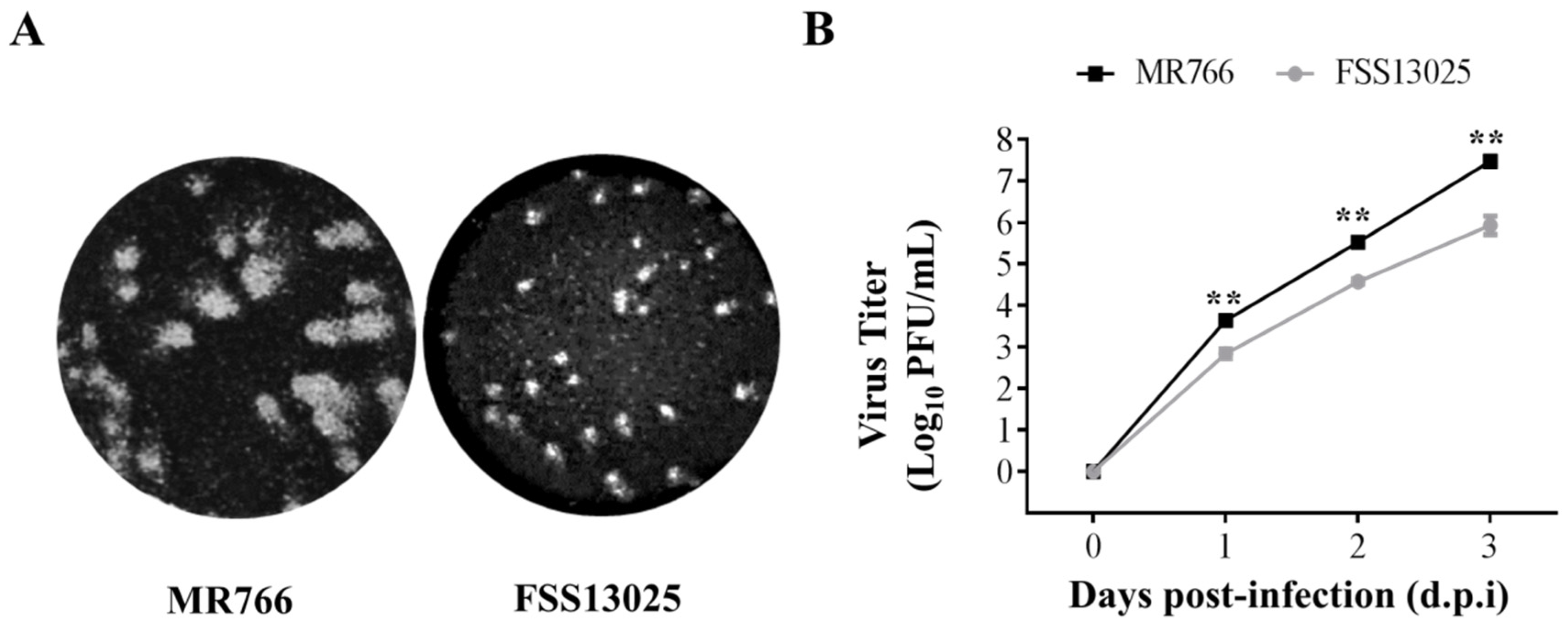 Viruses 10 00700 g004