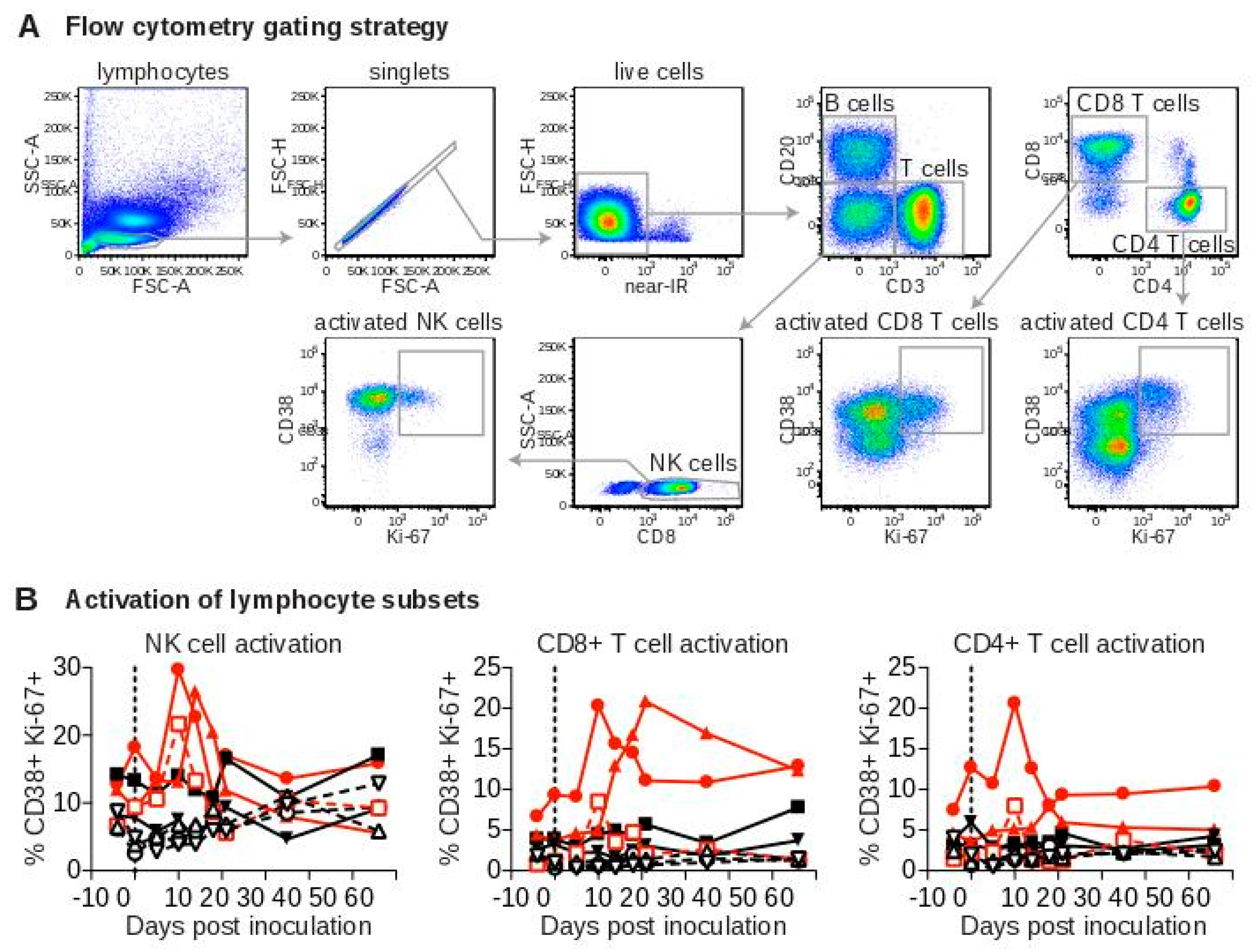 Viruses 10 00701 g004