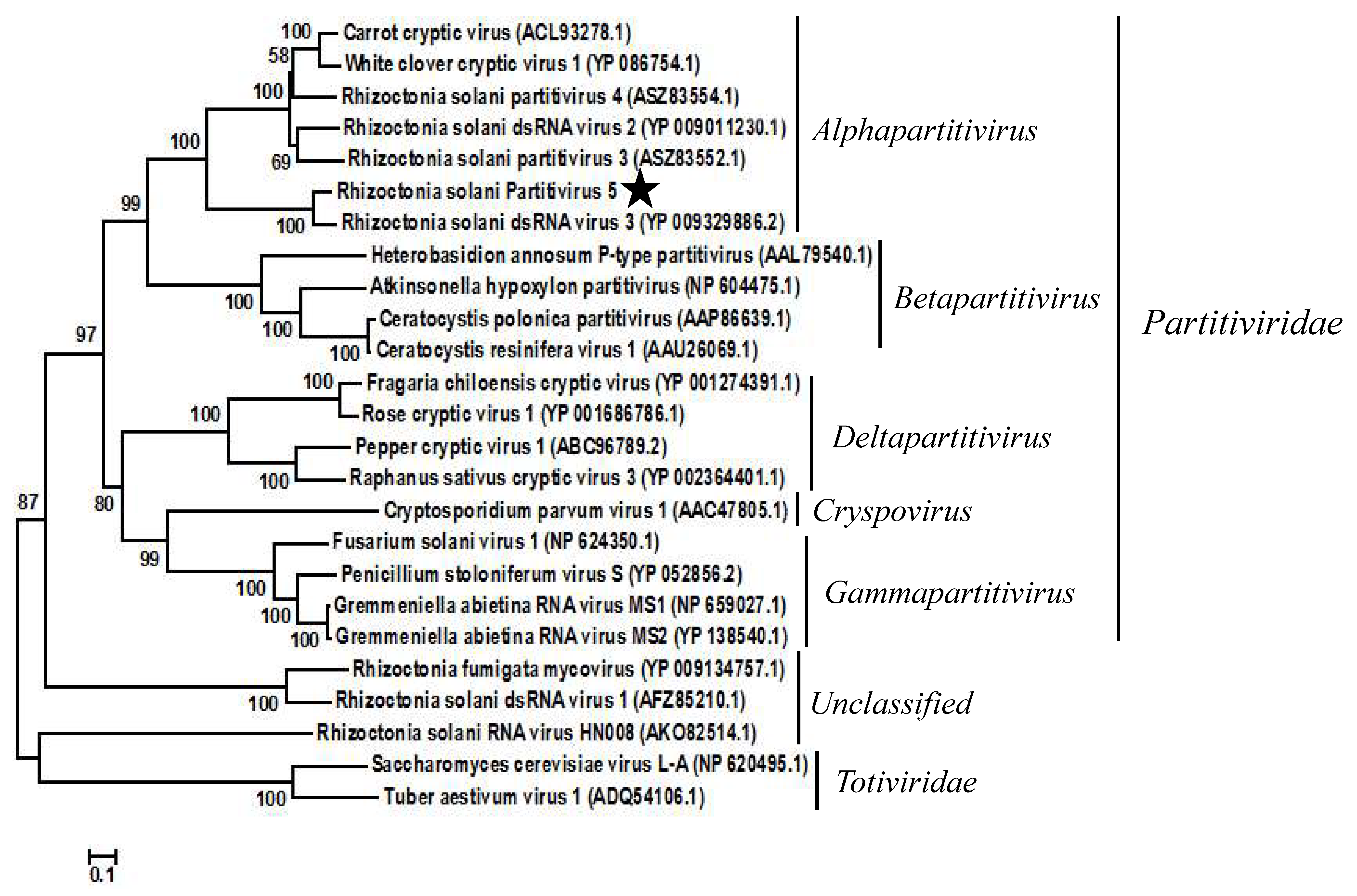 Viruses 10 00703 g002
