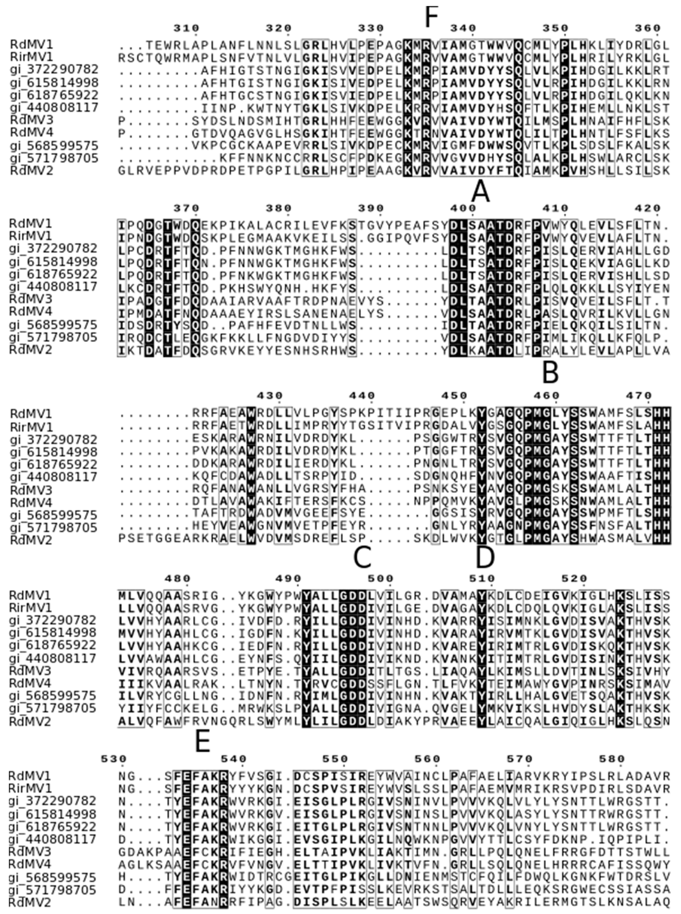 Viruses 10 00707 g004