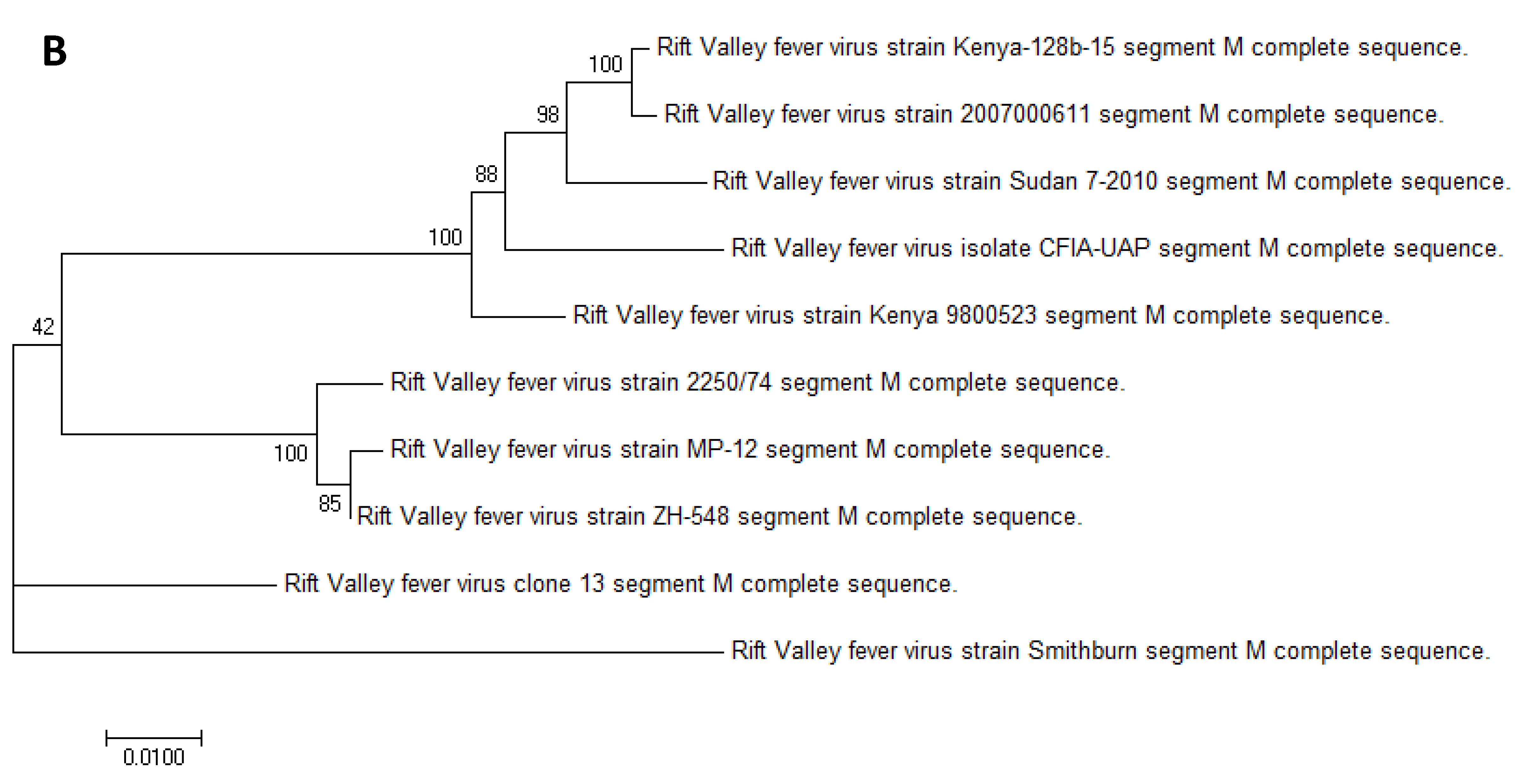 Viruses 10 00709 g002b
