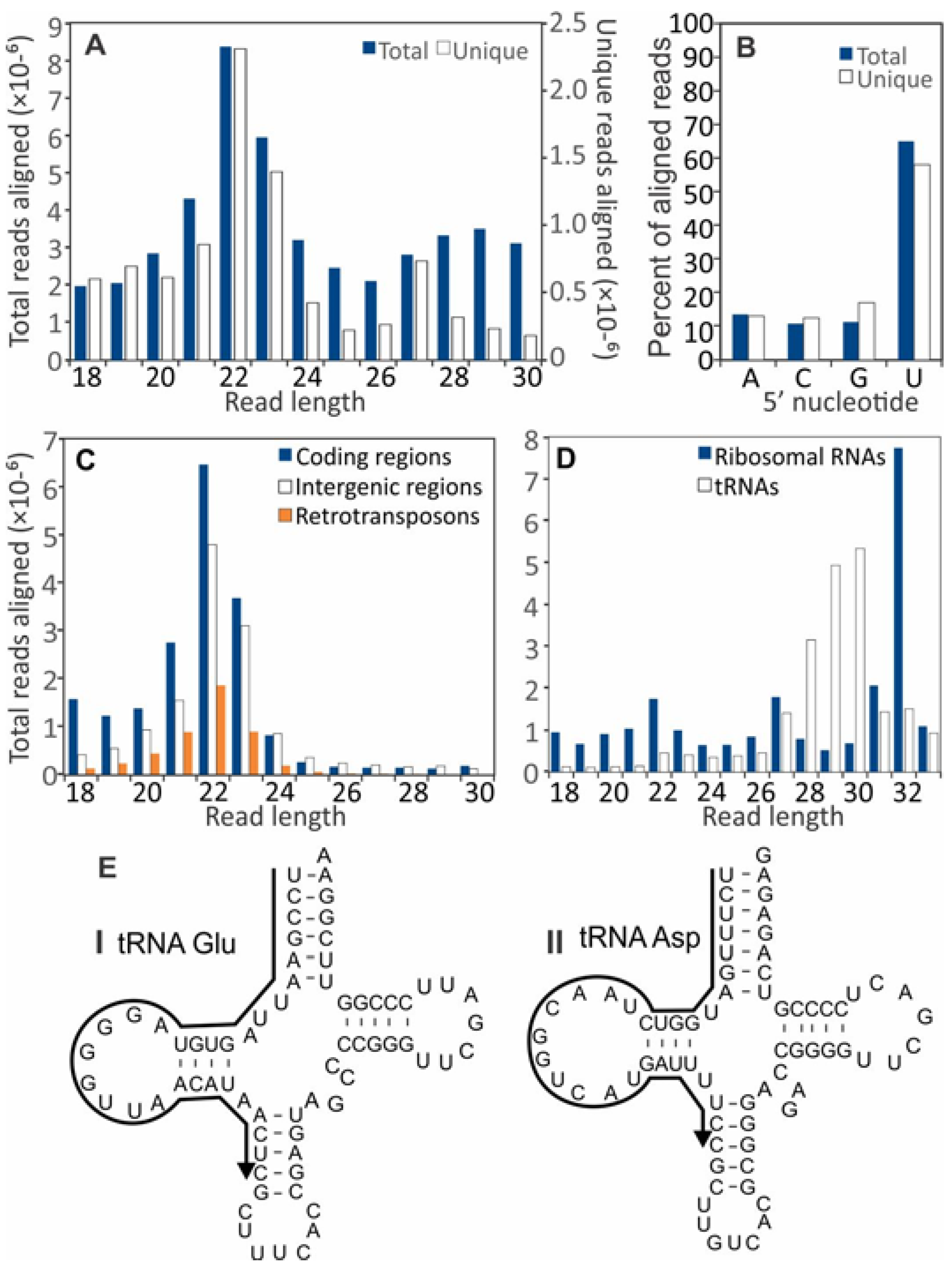 Viruses 10 00713 g001