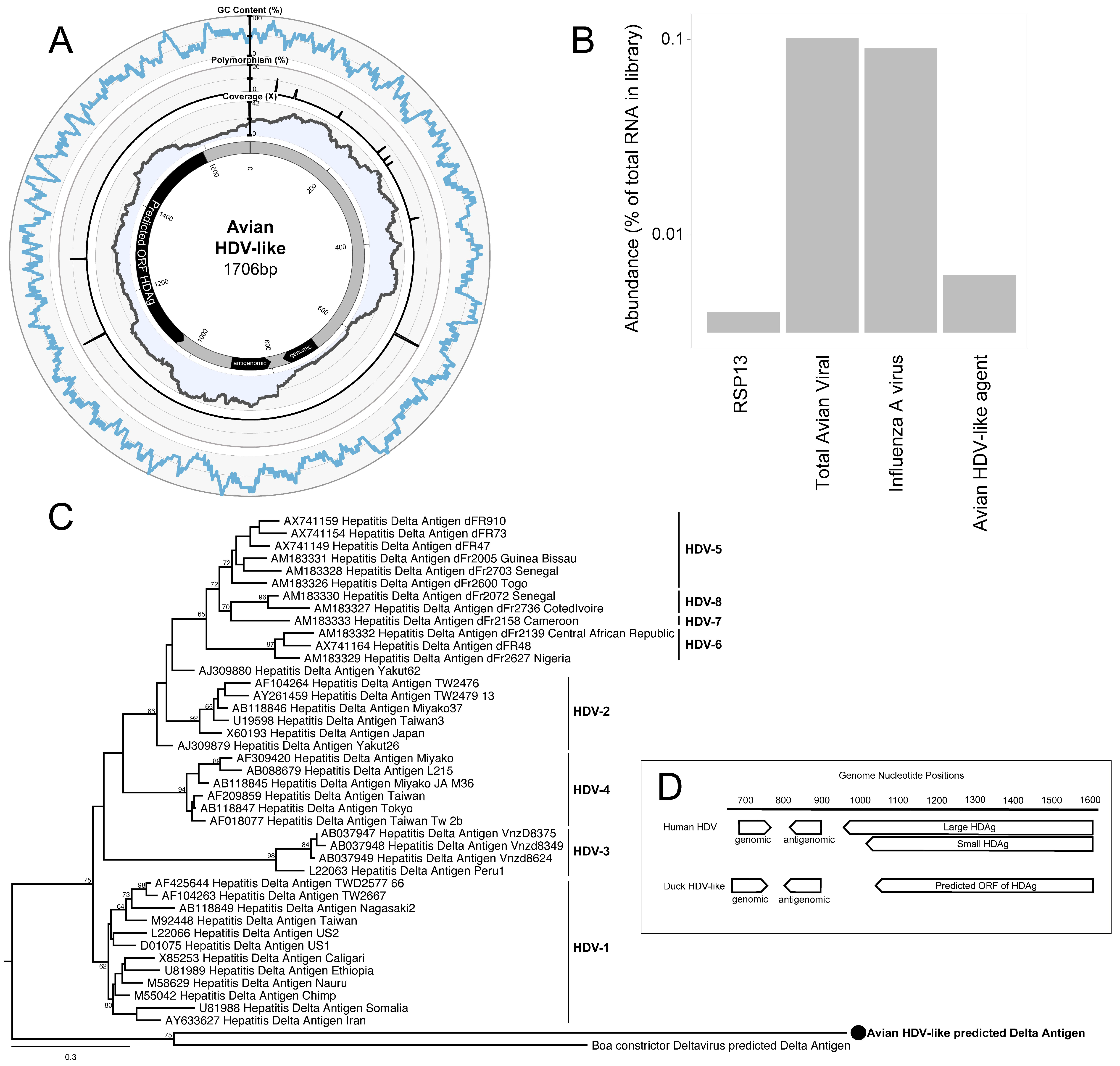 Viruses 10 00720 g001