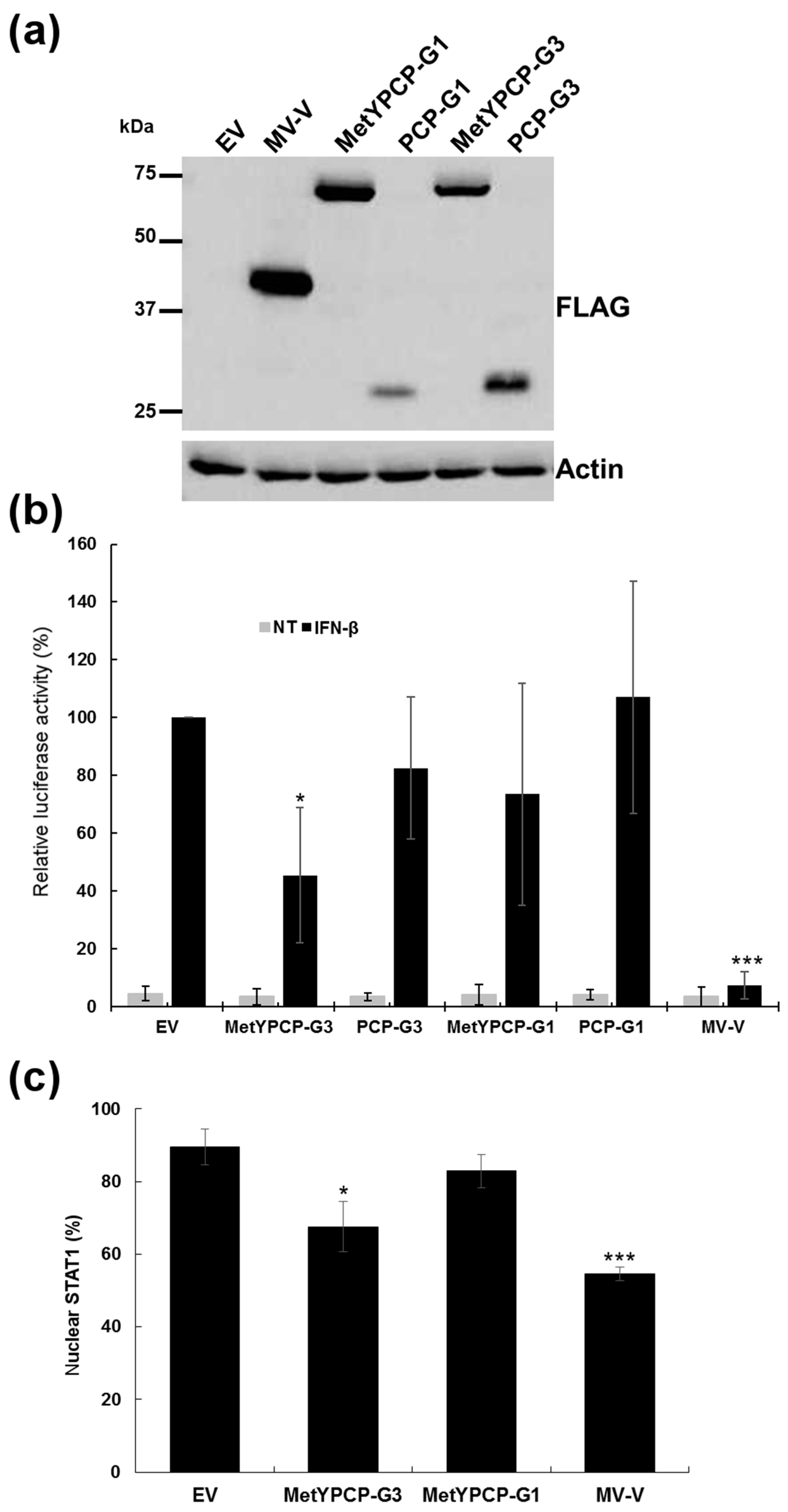Viruses 10 00726 g006