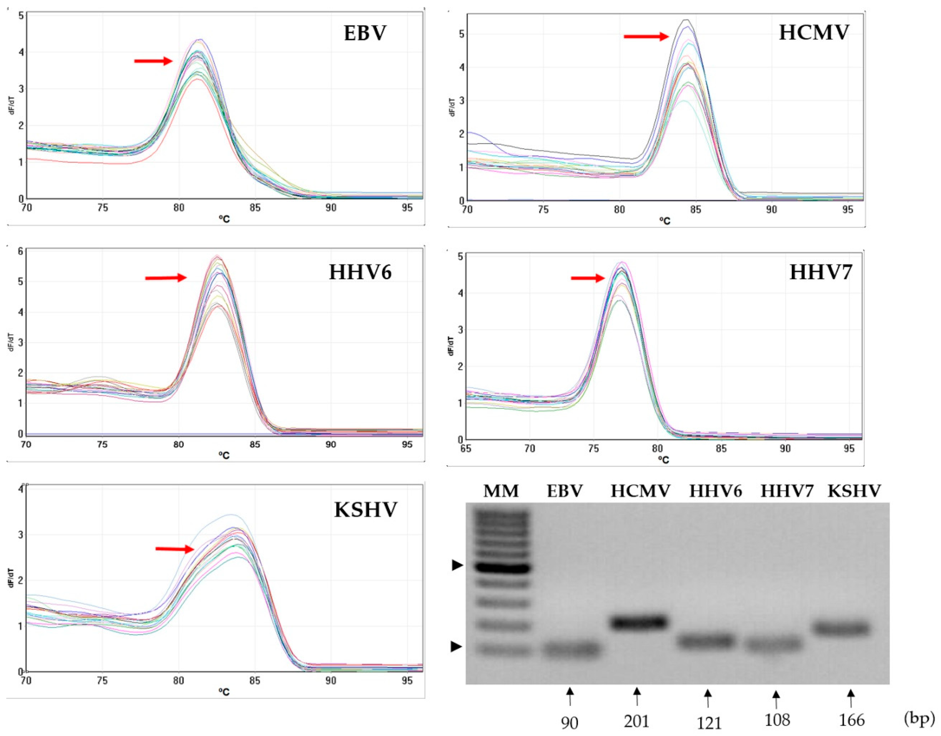 Viruses 10 00730 g001