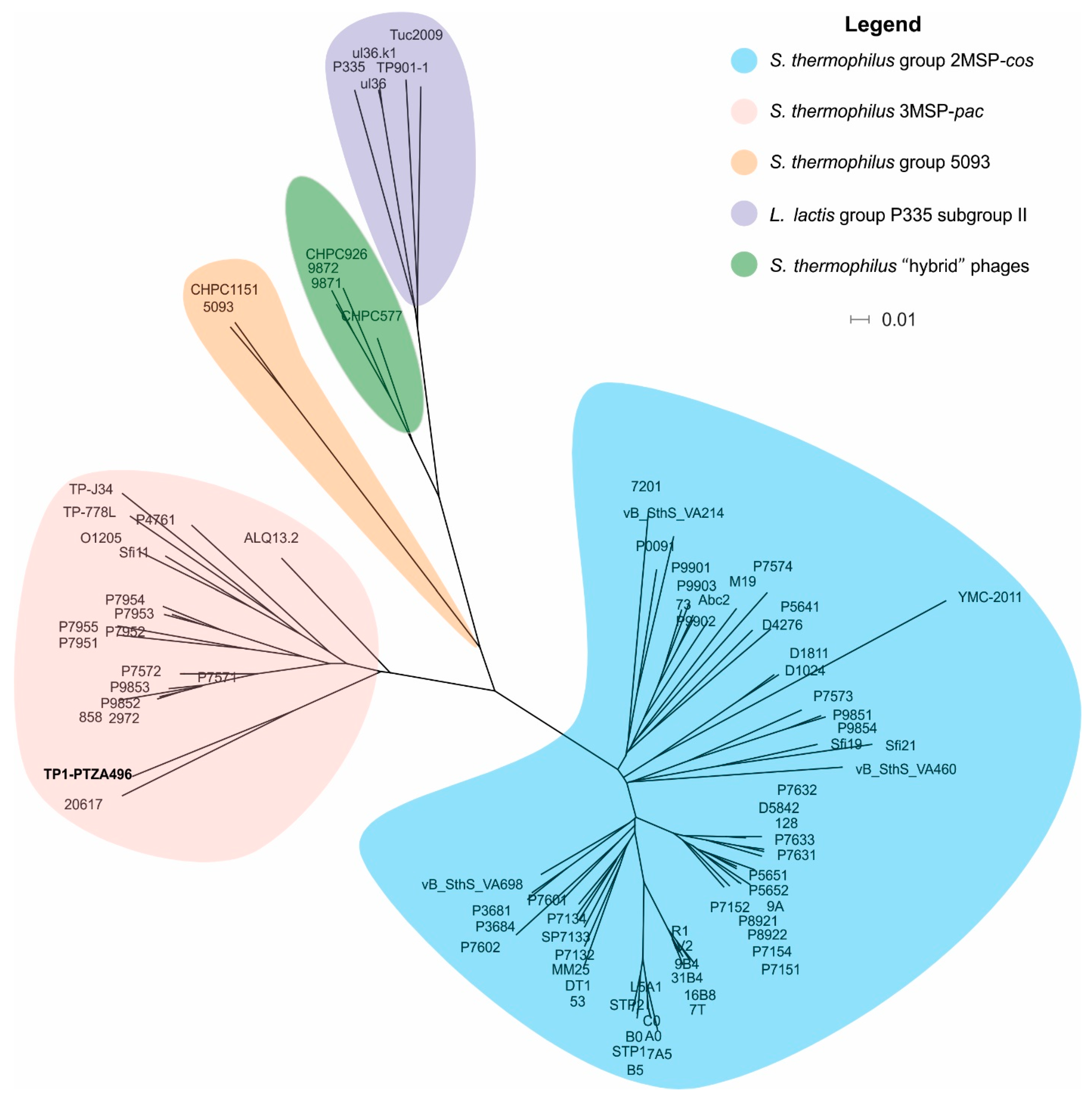 Viruses 11 00007 g002 Viruses 11 00007 g002