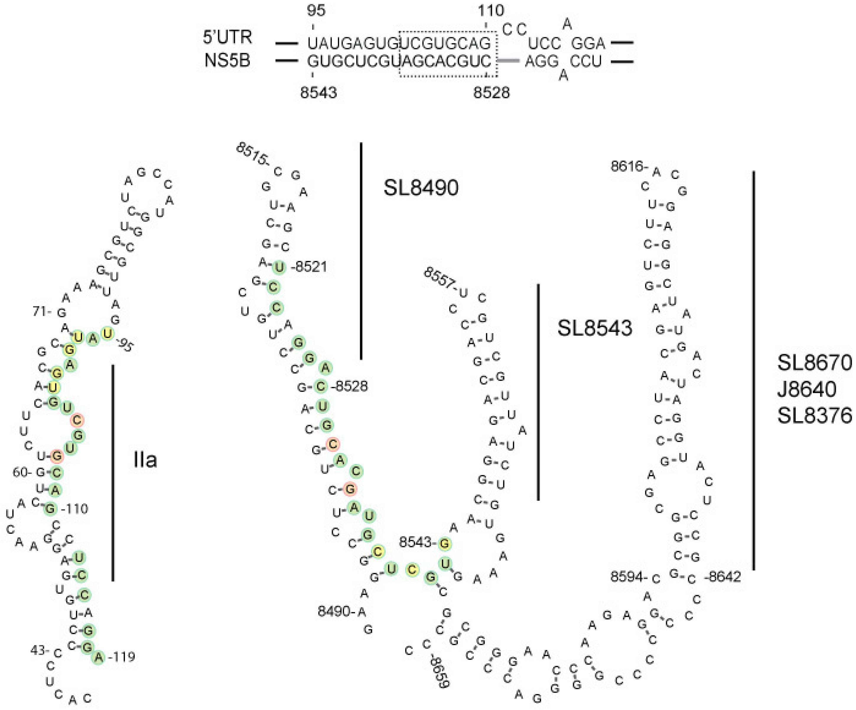 Viruses 11 00017 g001 Viruses 11 00017 g001