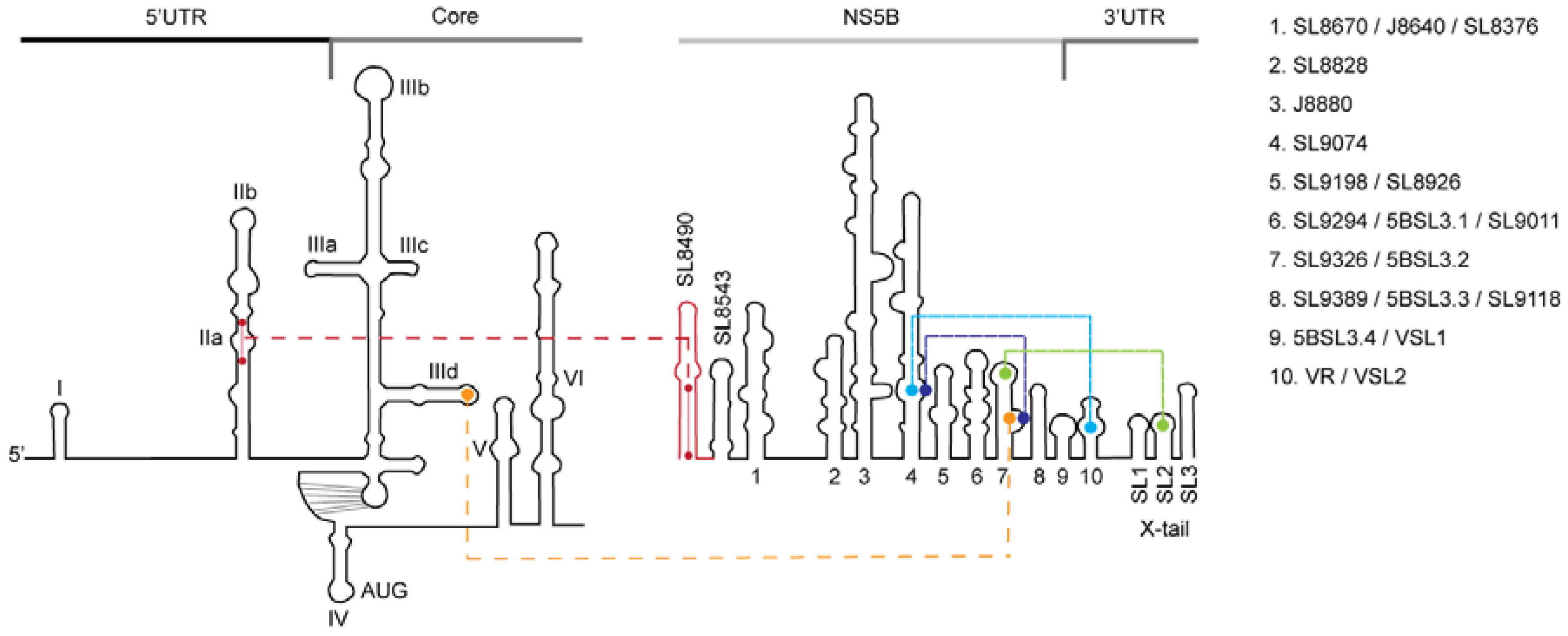 Viruses 11 00017 g006 Viruses 11 00017 g006
