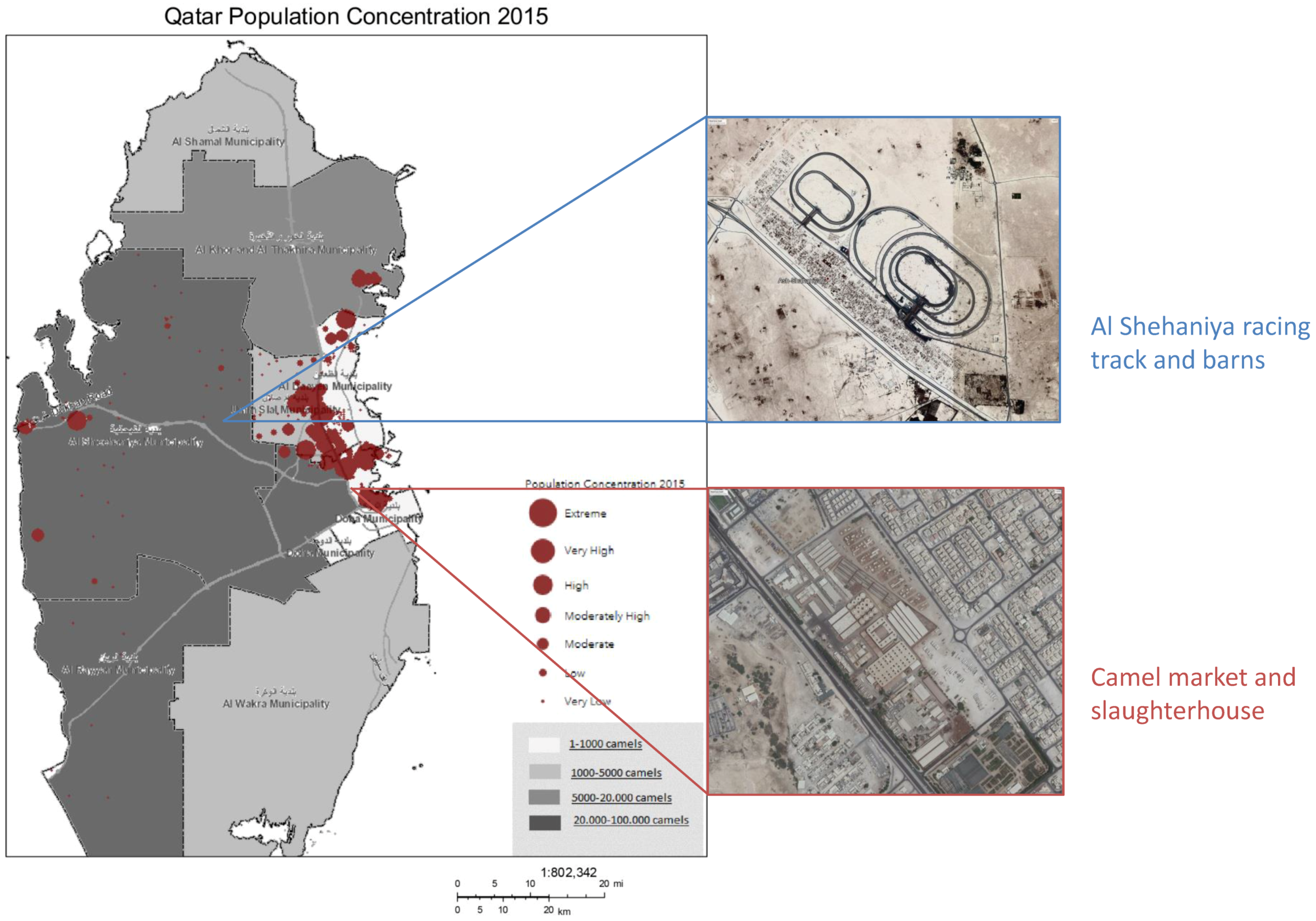 Viruses 11 00022 g003