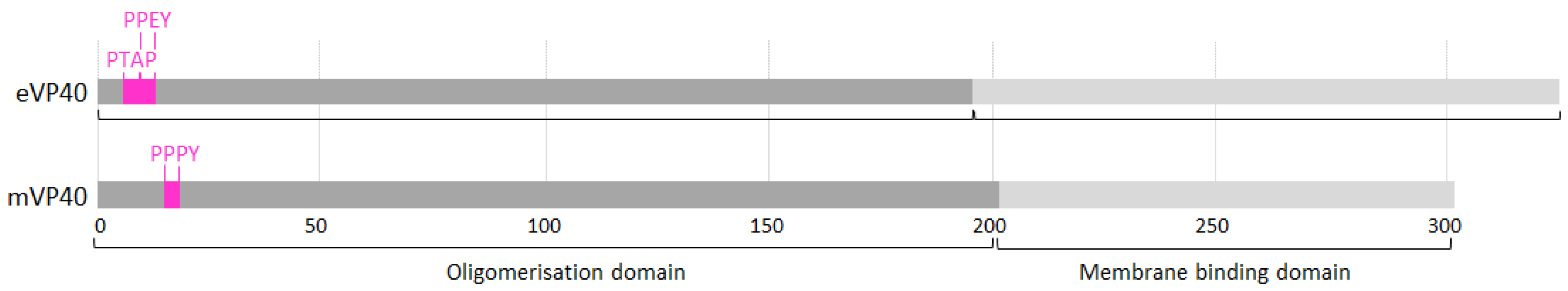 Viruses 11 00025 g003 Viruses 11 00025 g003