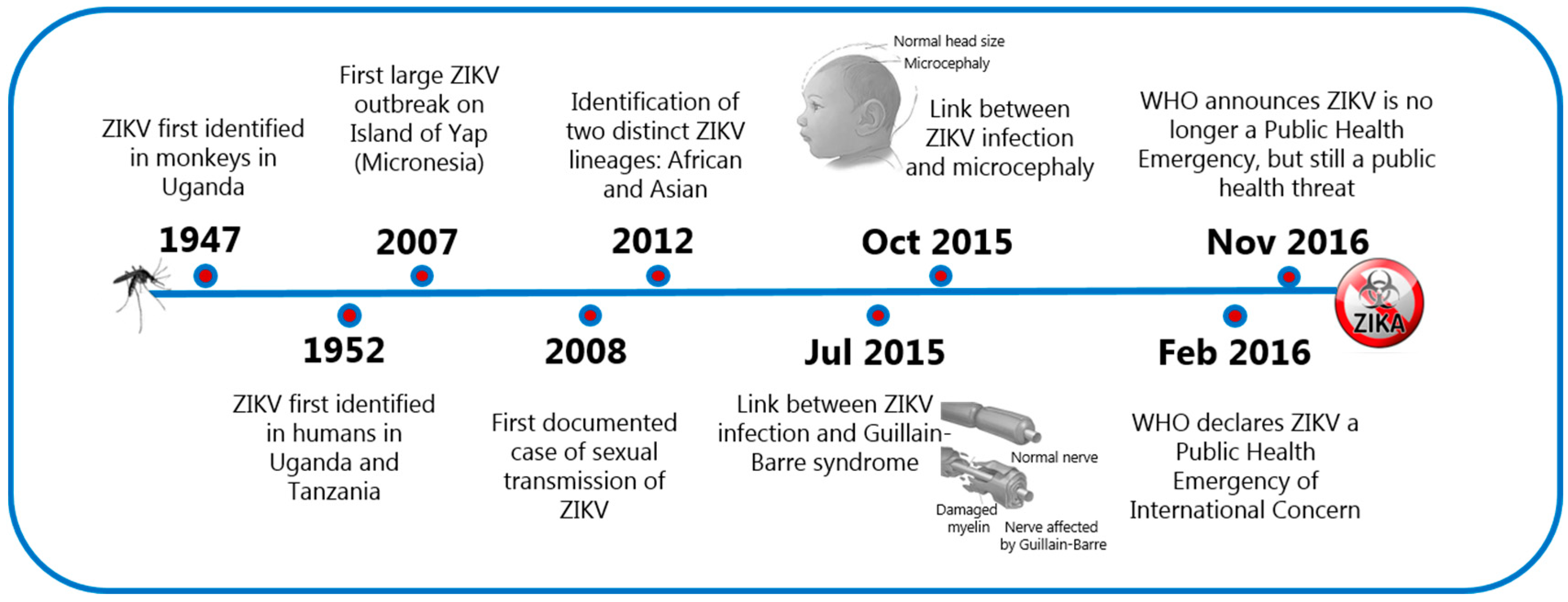 Viruses 11 00029 g001