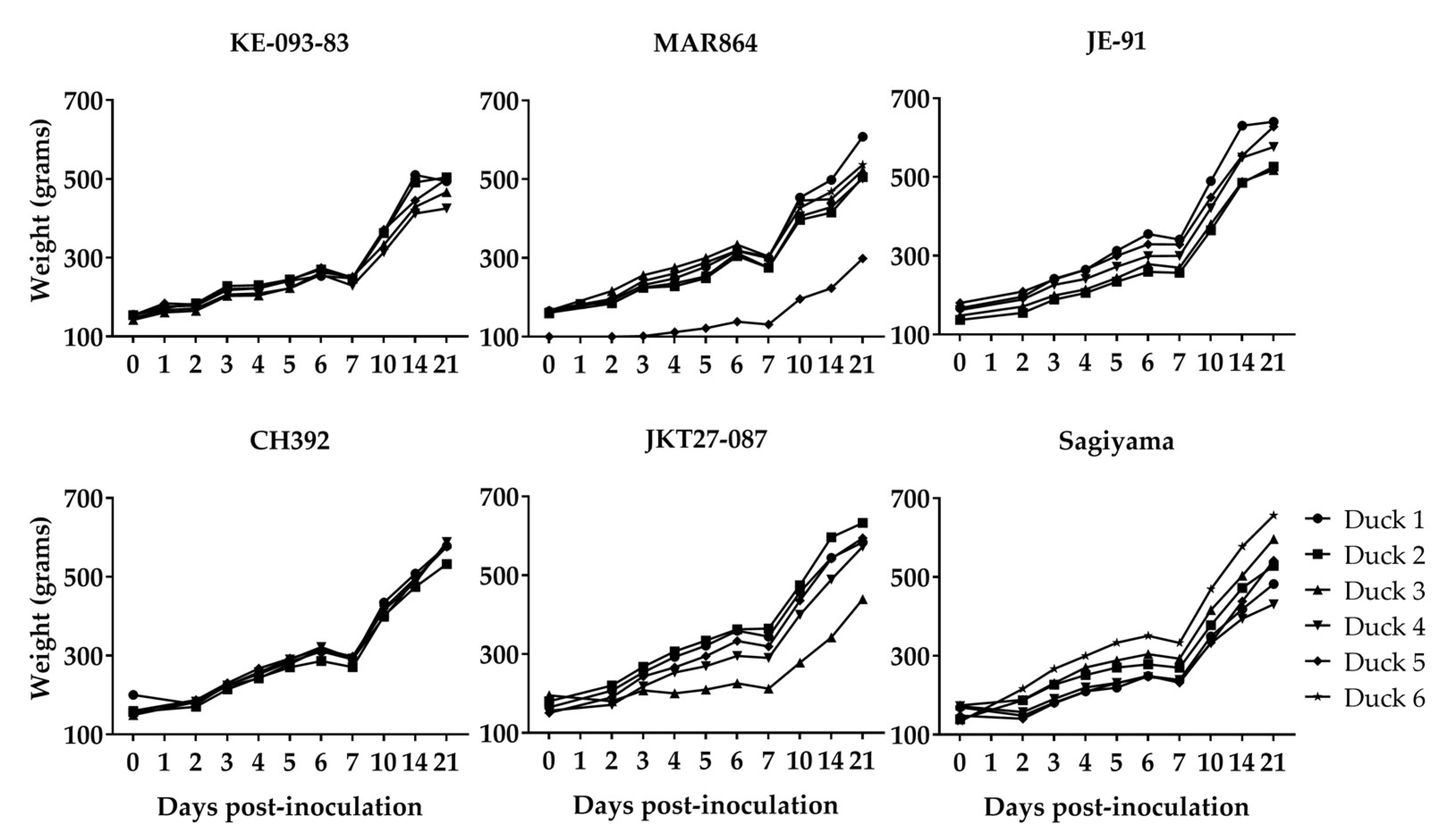 Viruses 11 00032 g003