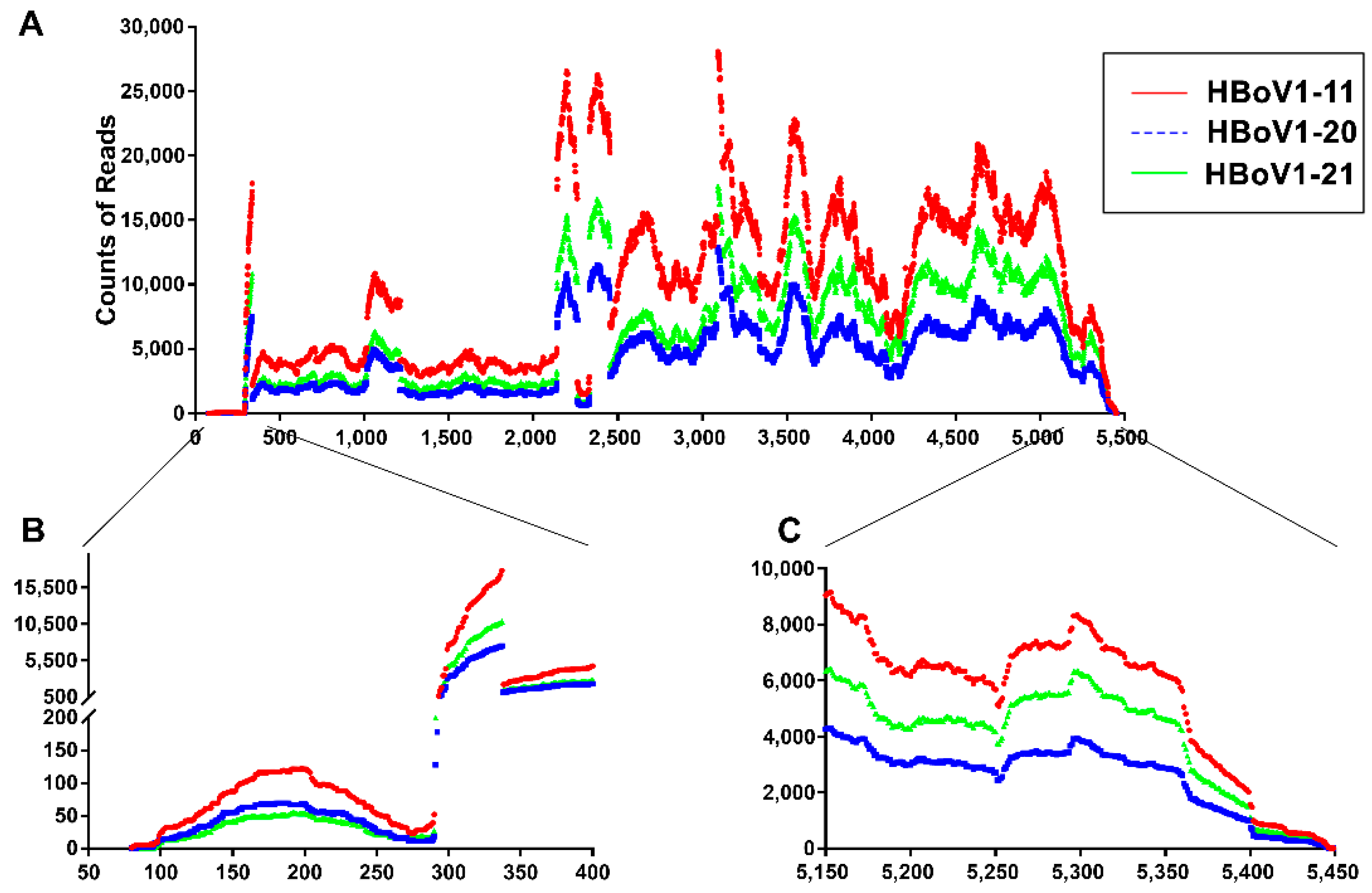 Viruses 11 00033 g002 Viruses 11 00033 g002