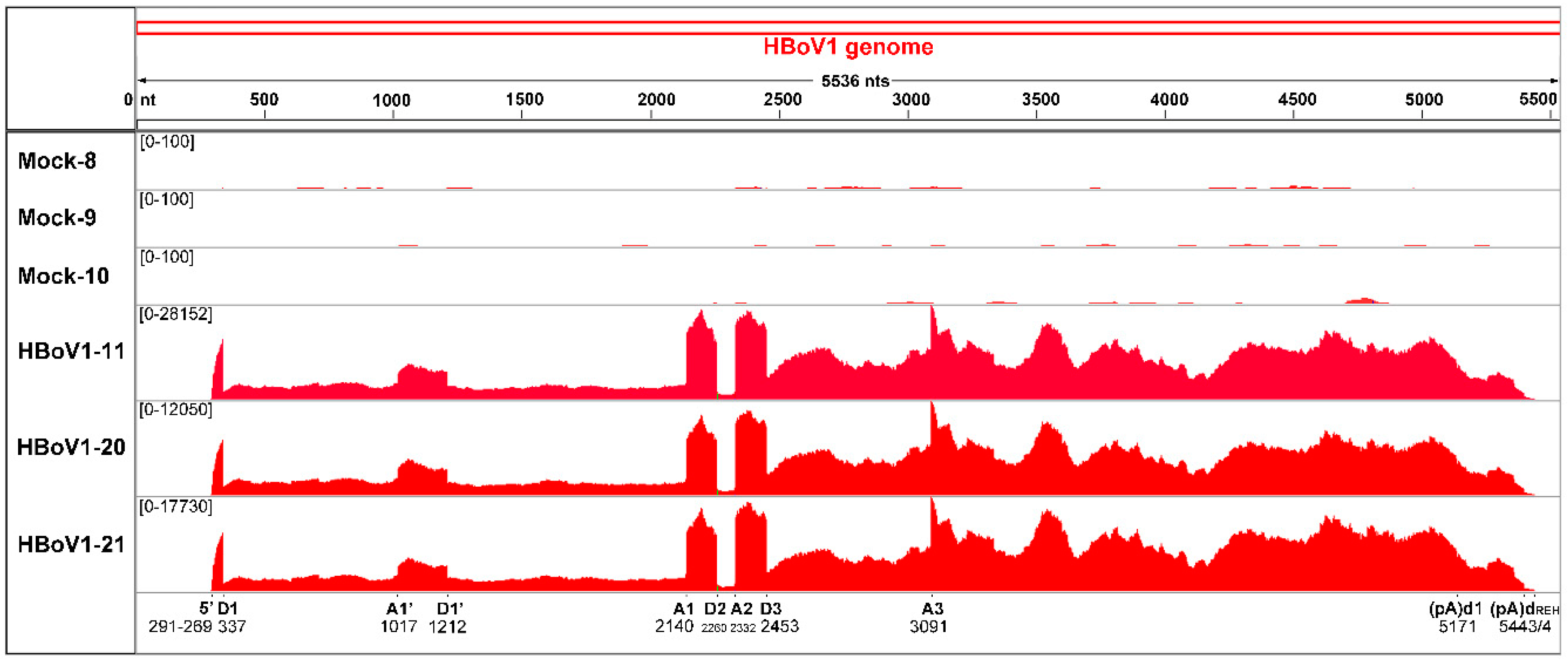 Viruses 11 00033 g003 Viruses 11 00033 g003