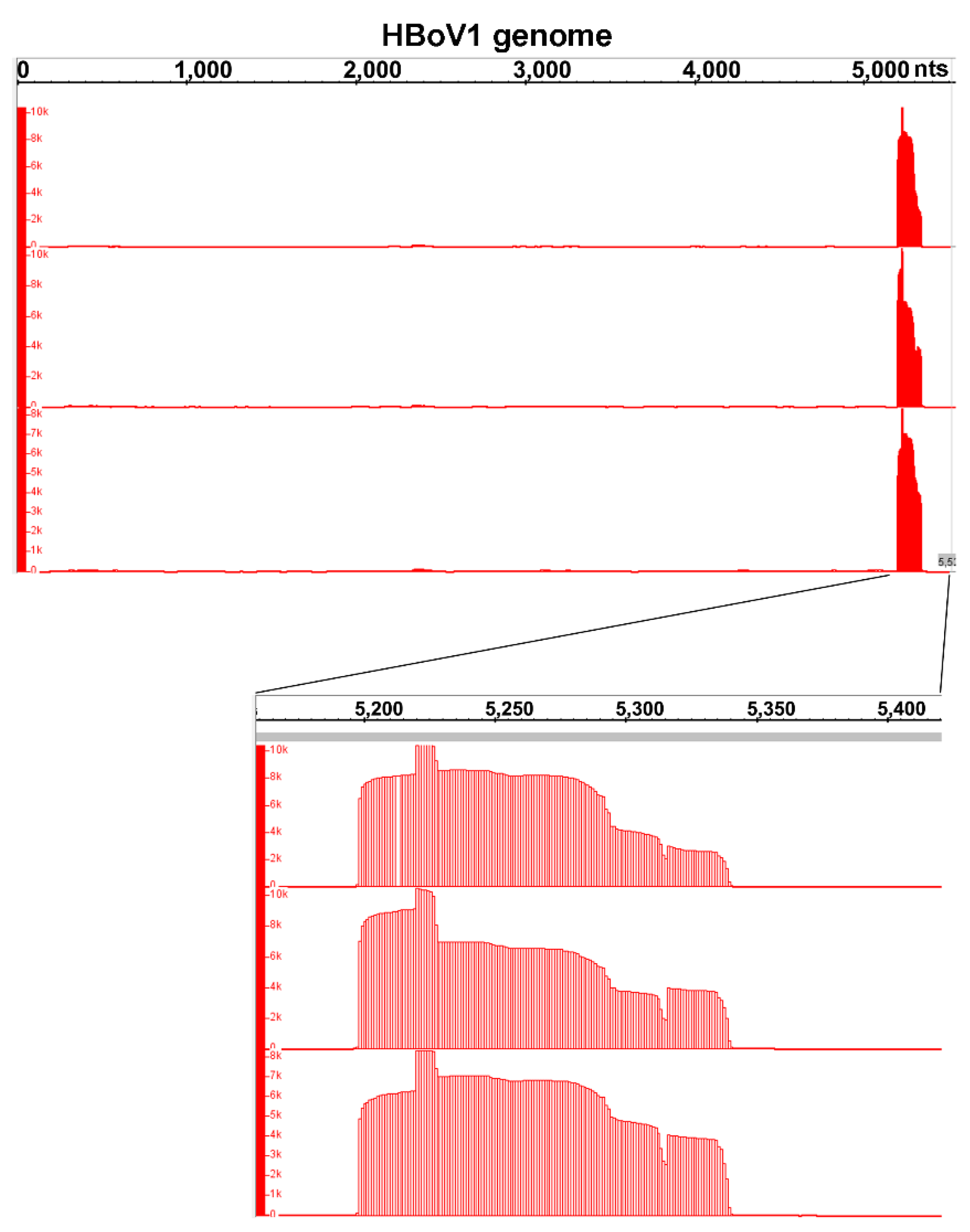 Viruses 11 00033 g005 Viruses 11 00033 g005