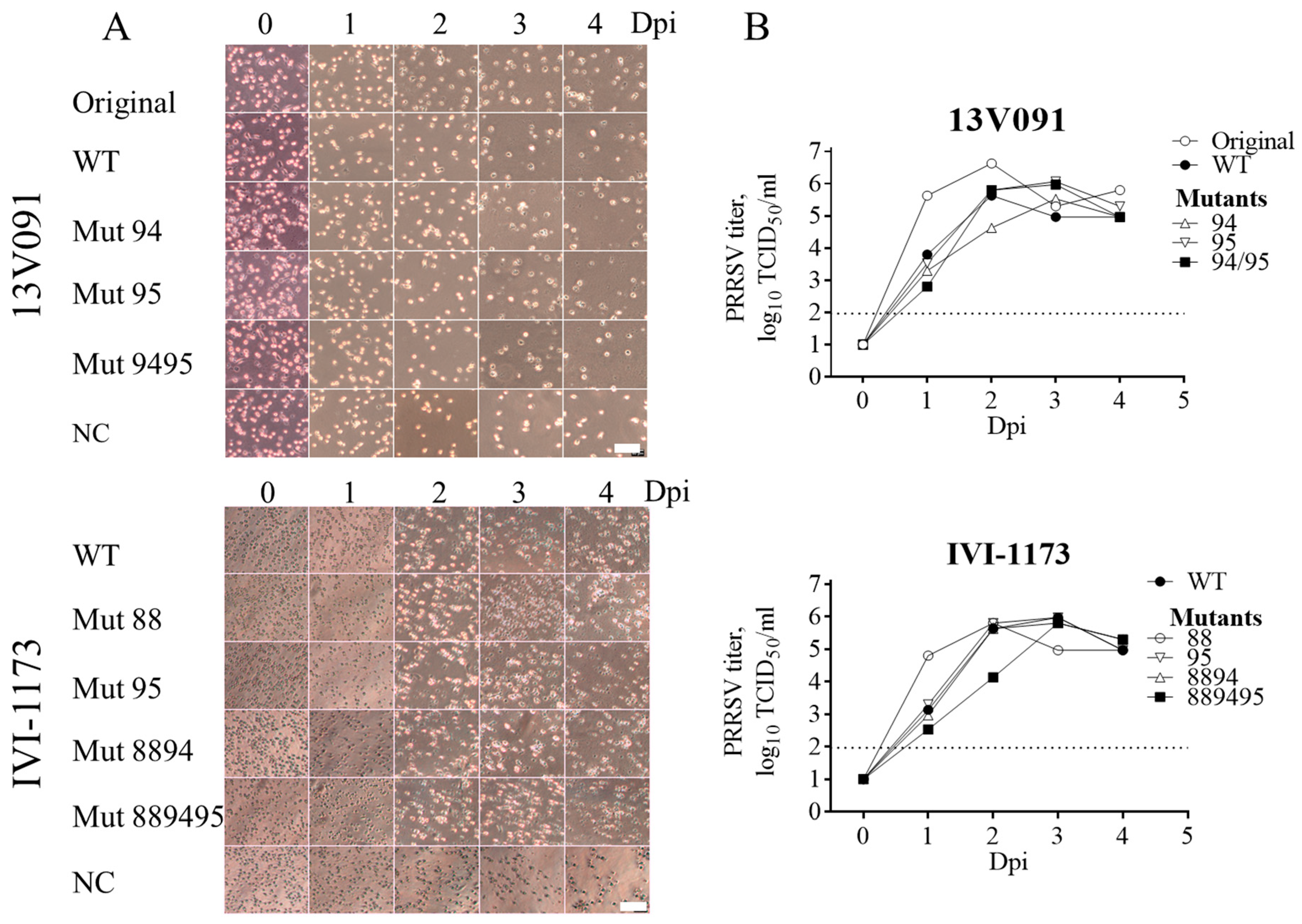 Viruses 11 00036 g003