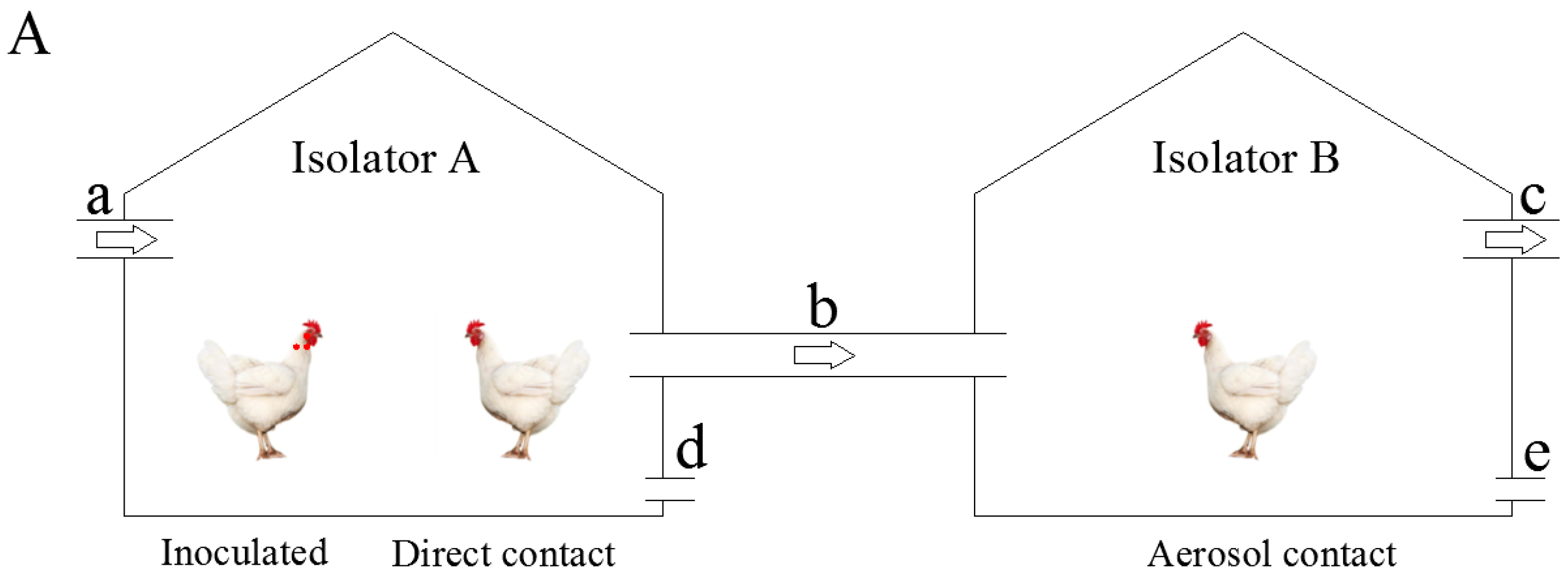 Viruses 11 00040 g001a