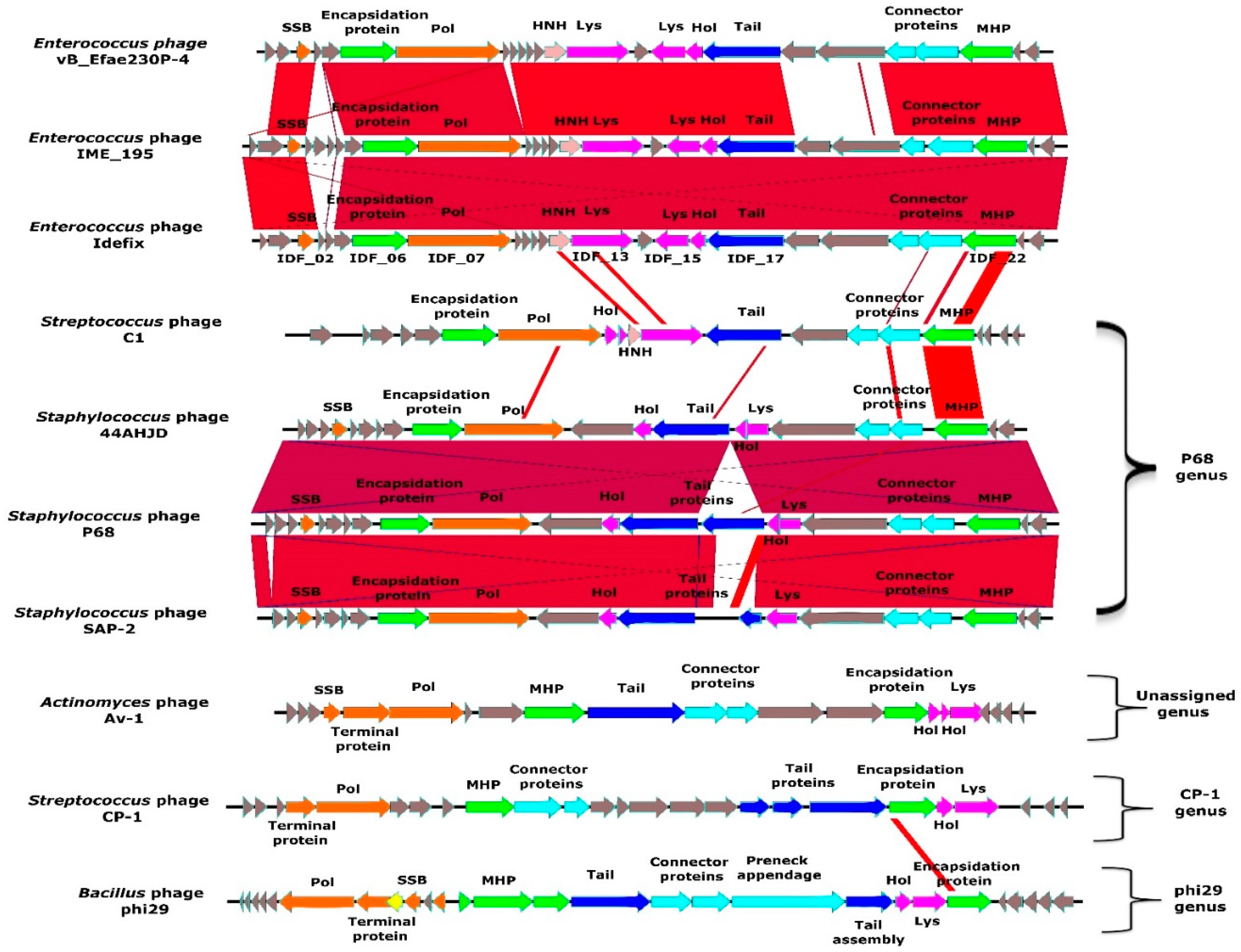 Viruses 11 00048 g002 Viruses 11 00048 g002
