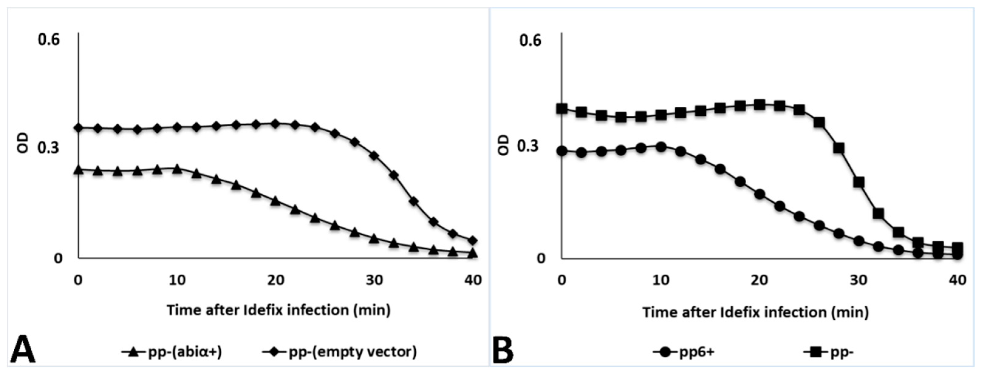 Viruses 11 00048 g005 Viruses 11 00048 g005