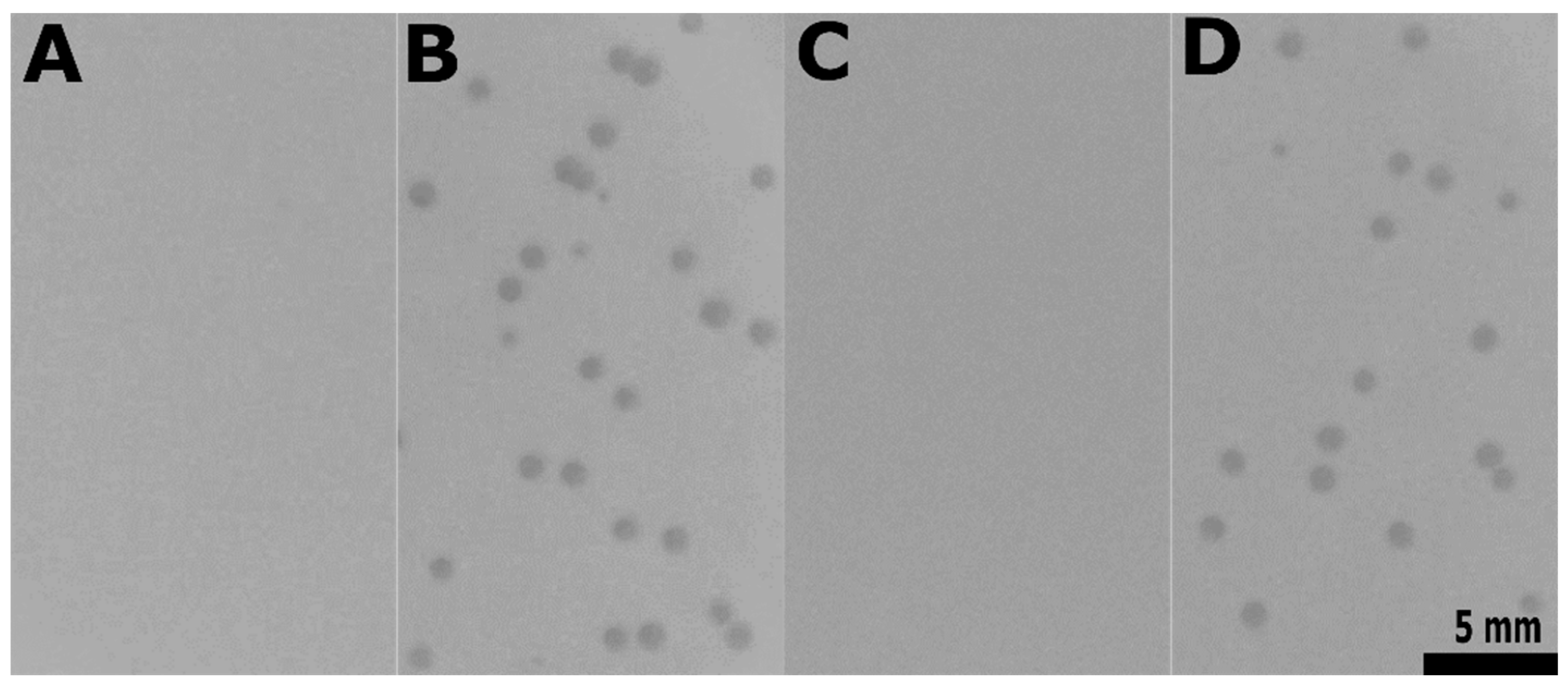 Viruses 11 00048 g007 Viruses 11 00048 g007