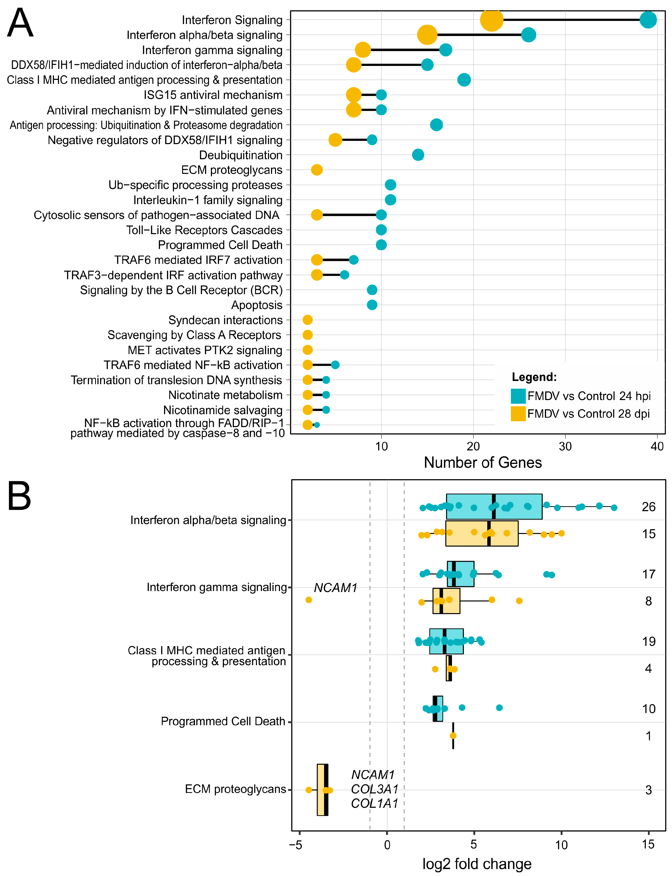 Viruses 11 00053 g003