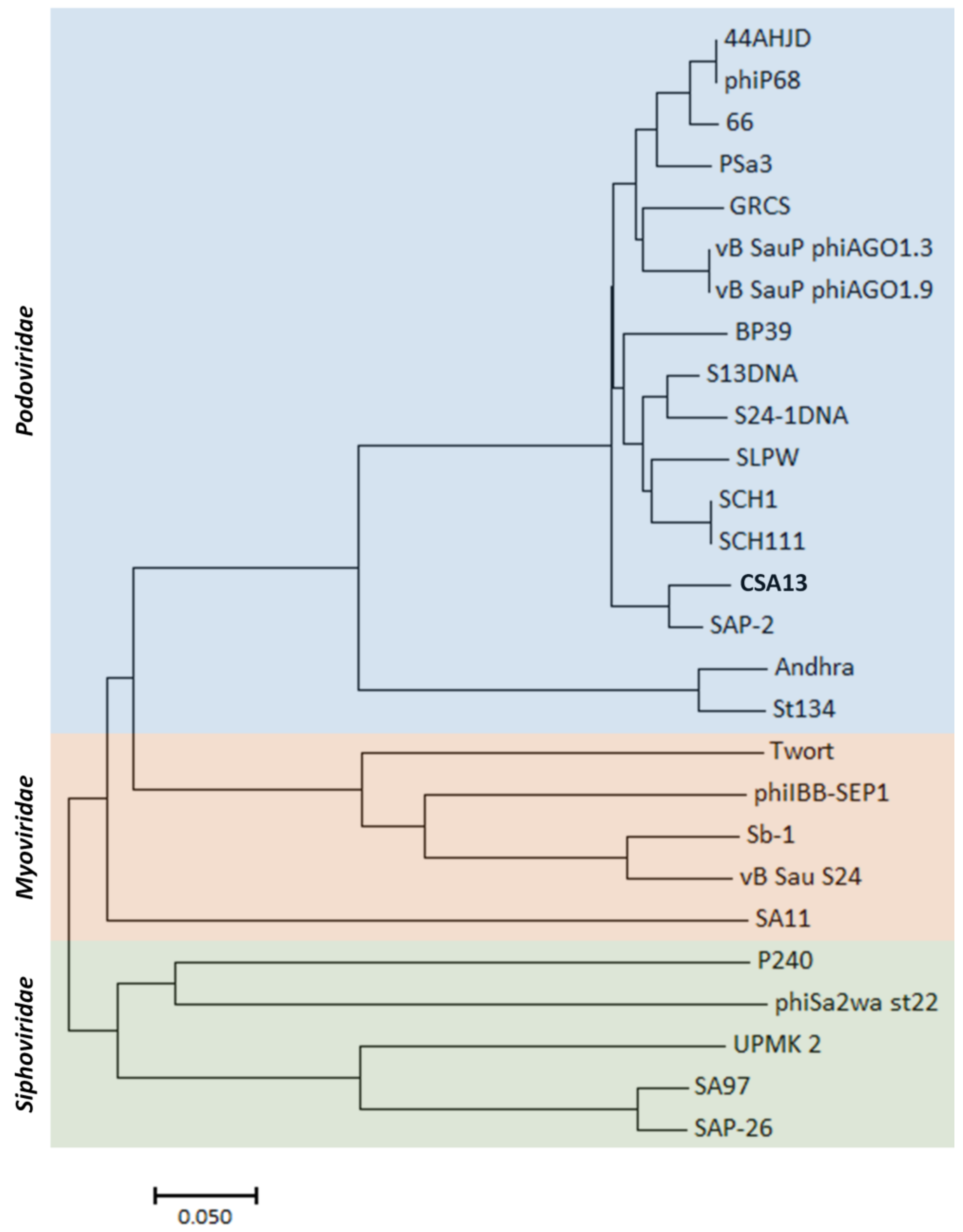 Viruses 11 00054 g005 Viruses 11 00054 g005