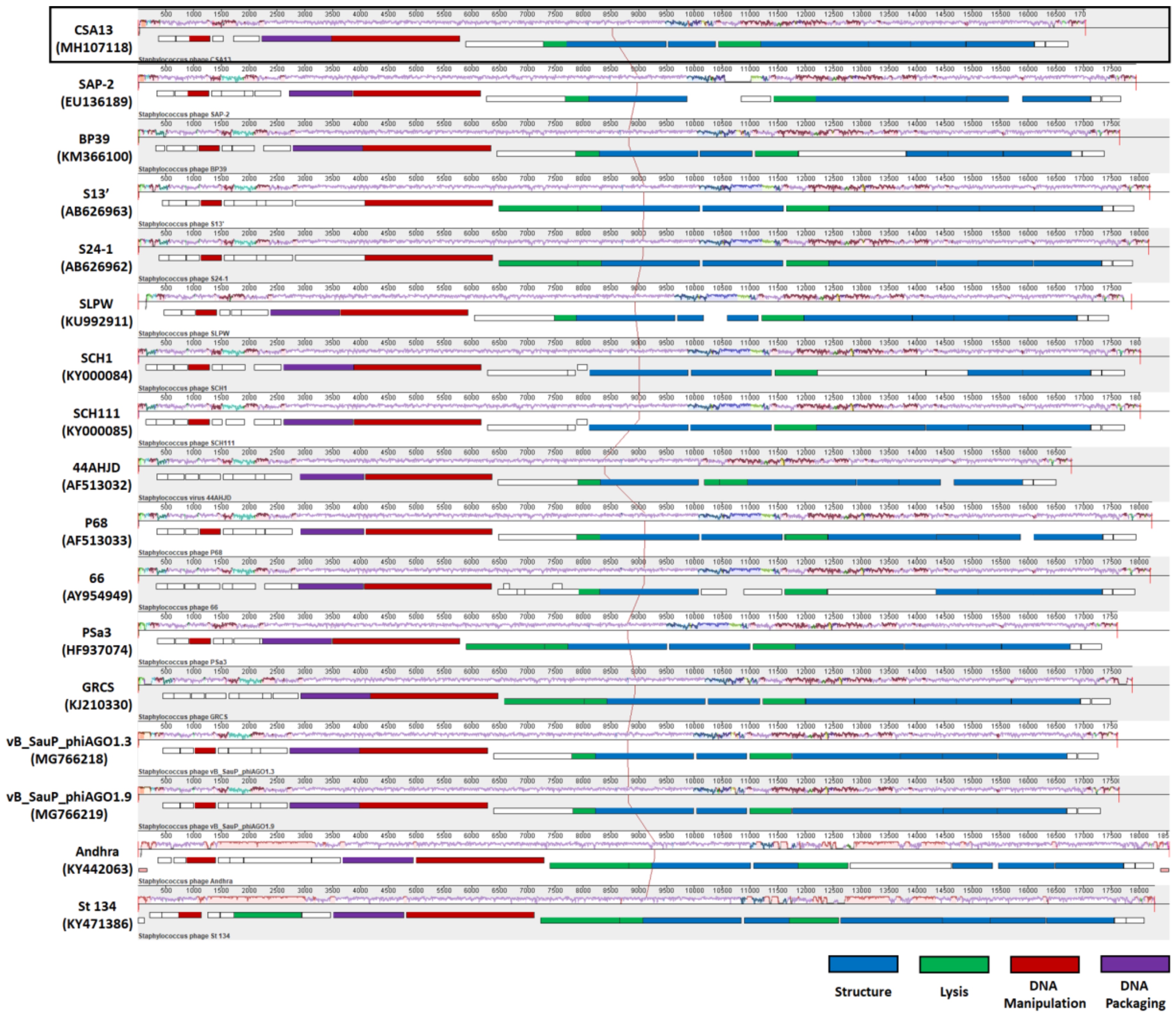 Viruses 11 00054 g006 Viruses 11 00054 g006