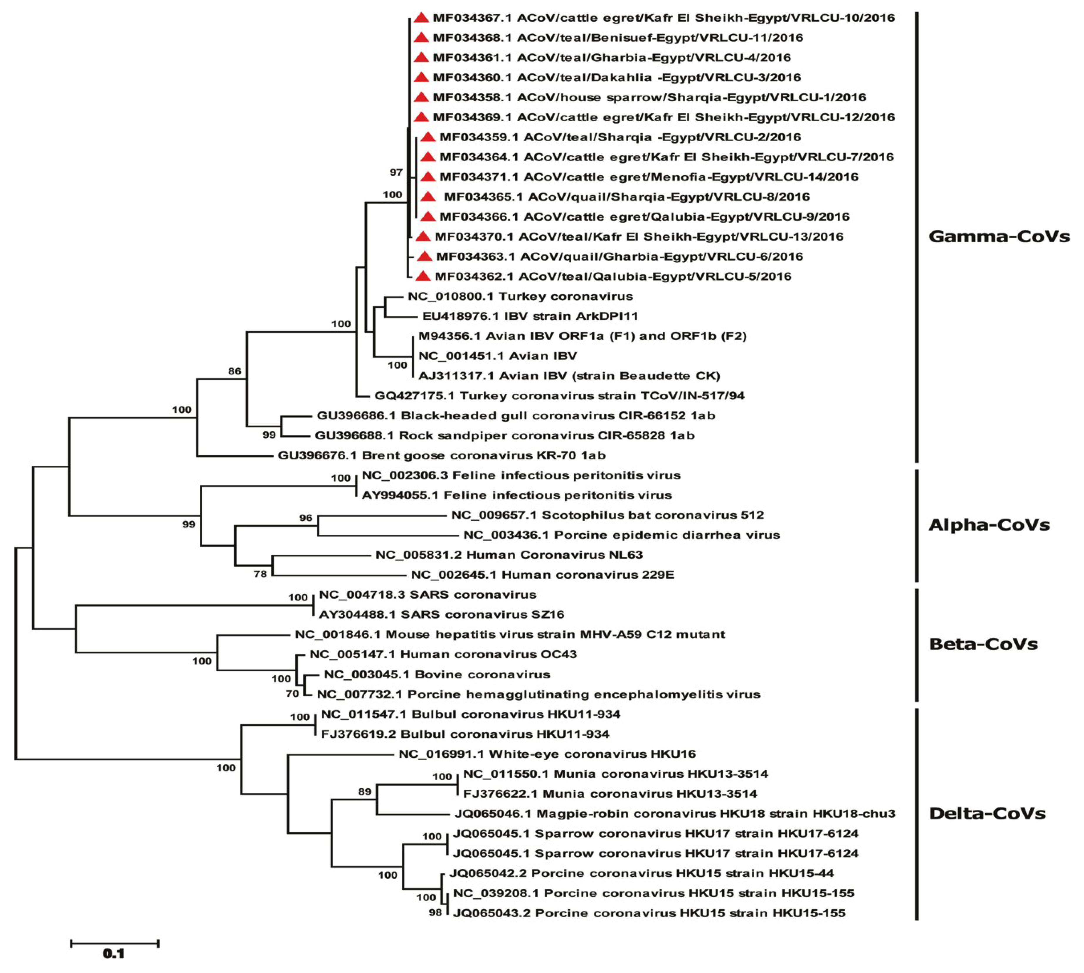 Viruses 11 00057 g002