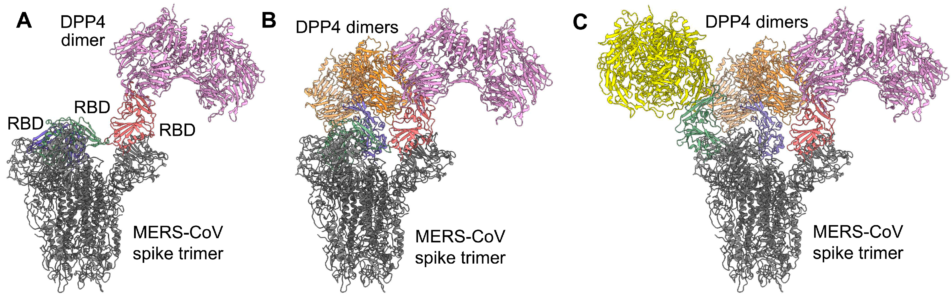 Viruses 11 00060 g003 Viruses 11 00060 g003