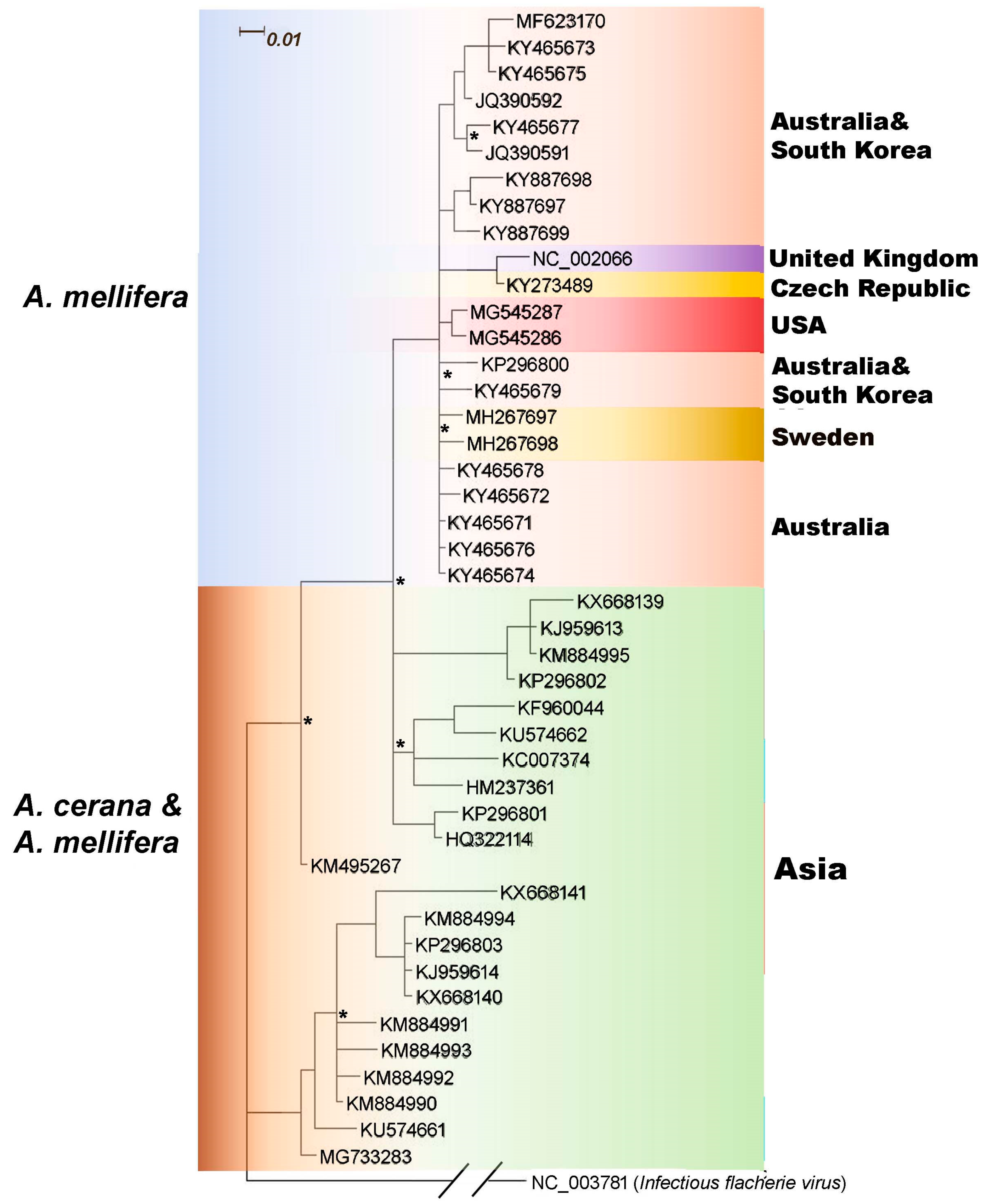 Viruses 11 00061 g004 Viruses 11 00061 g004
